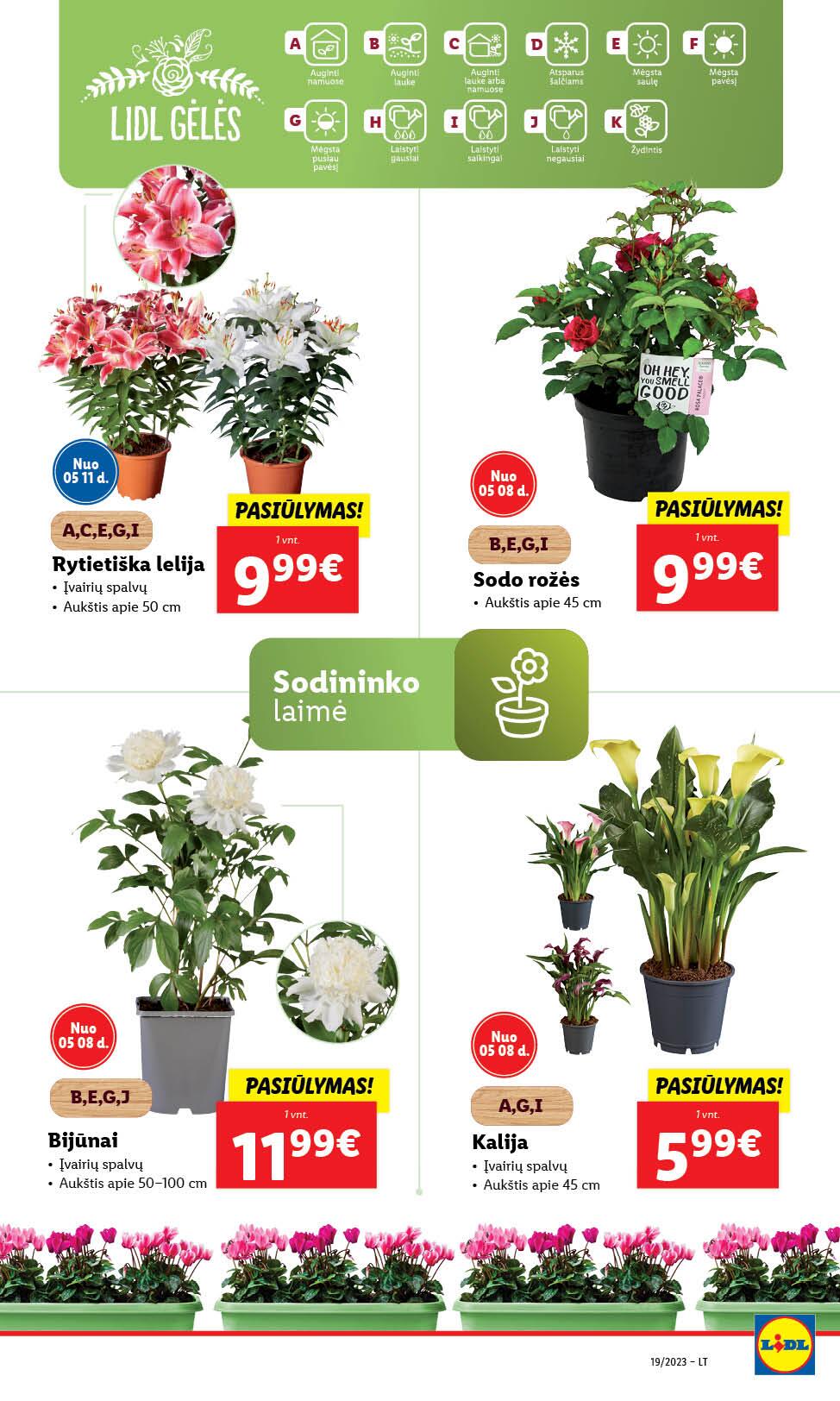 Naujausias LIDL kaininis katalogas 2023.05.08 - 2023.05.14