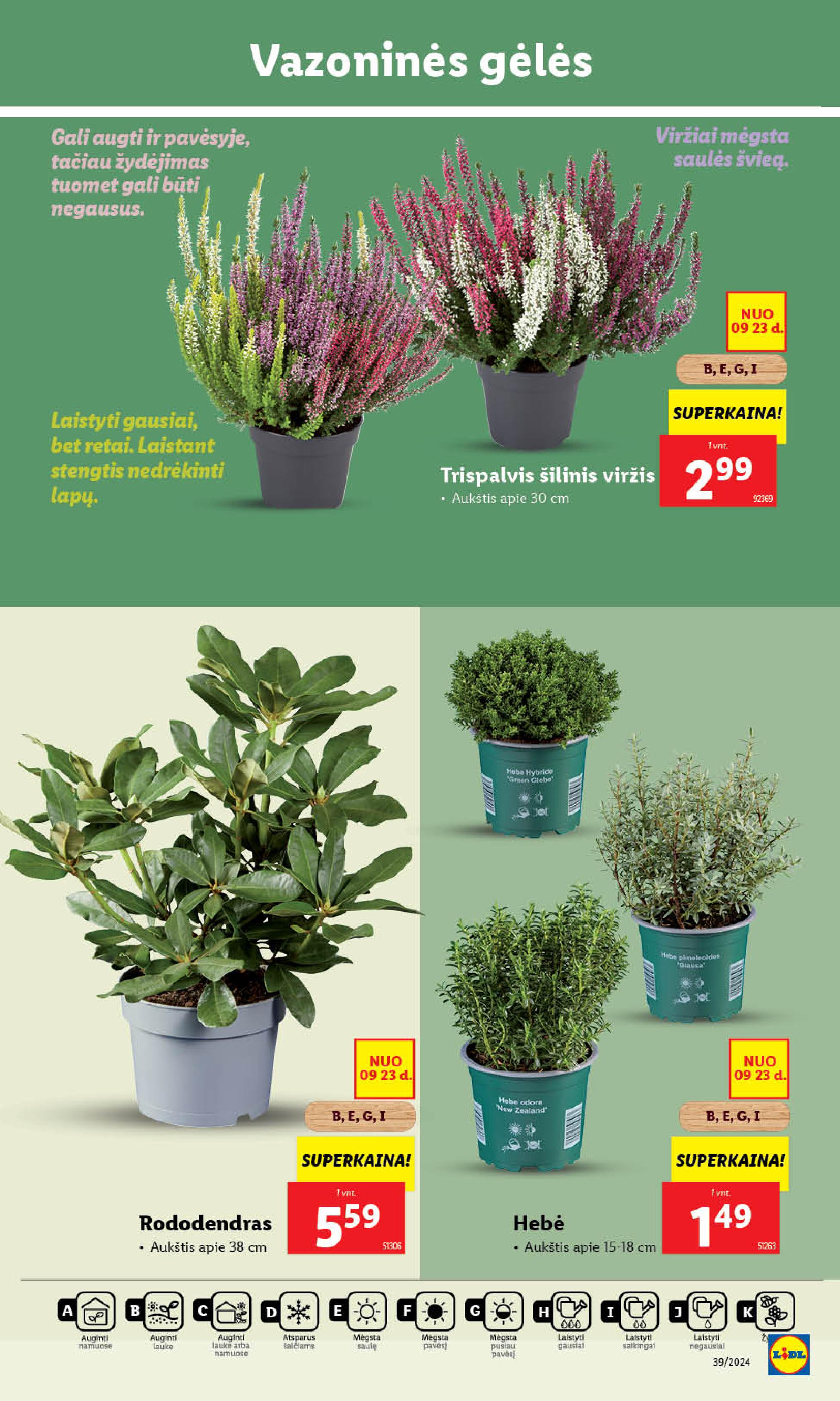 Naujausias LIDL kaininis katalogas 2024.09.23 - 2024.09.29