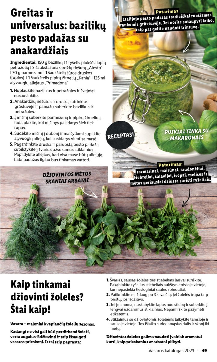 LIDL Vasaros katalogas 2023