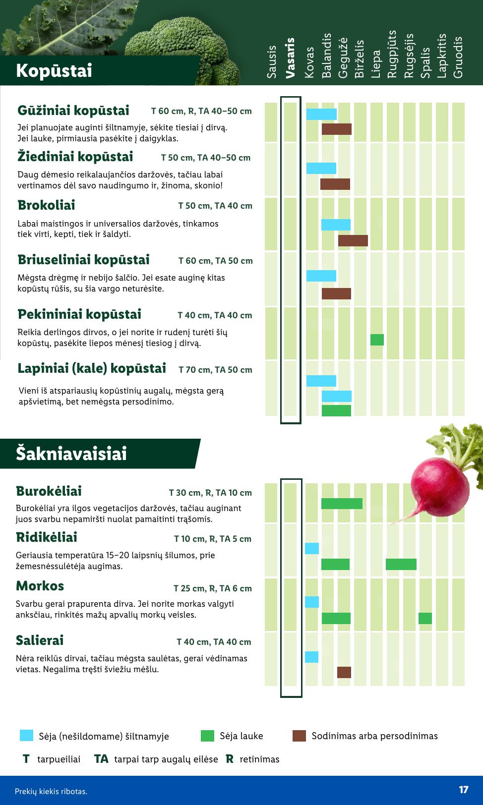 LIDL katalogas "Sodui valio !" galioja nuo 2026.02.16