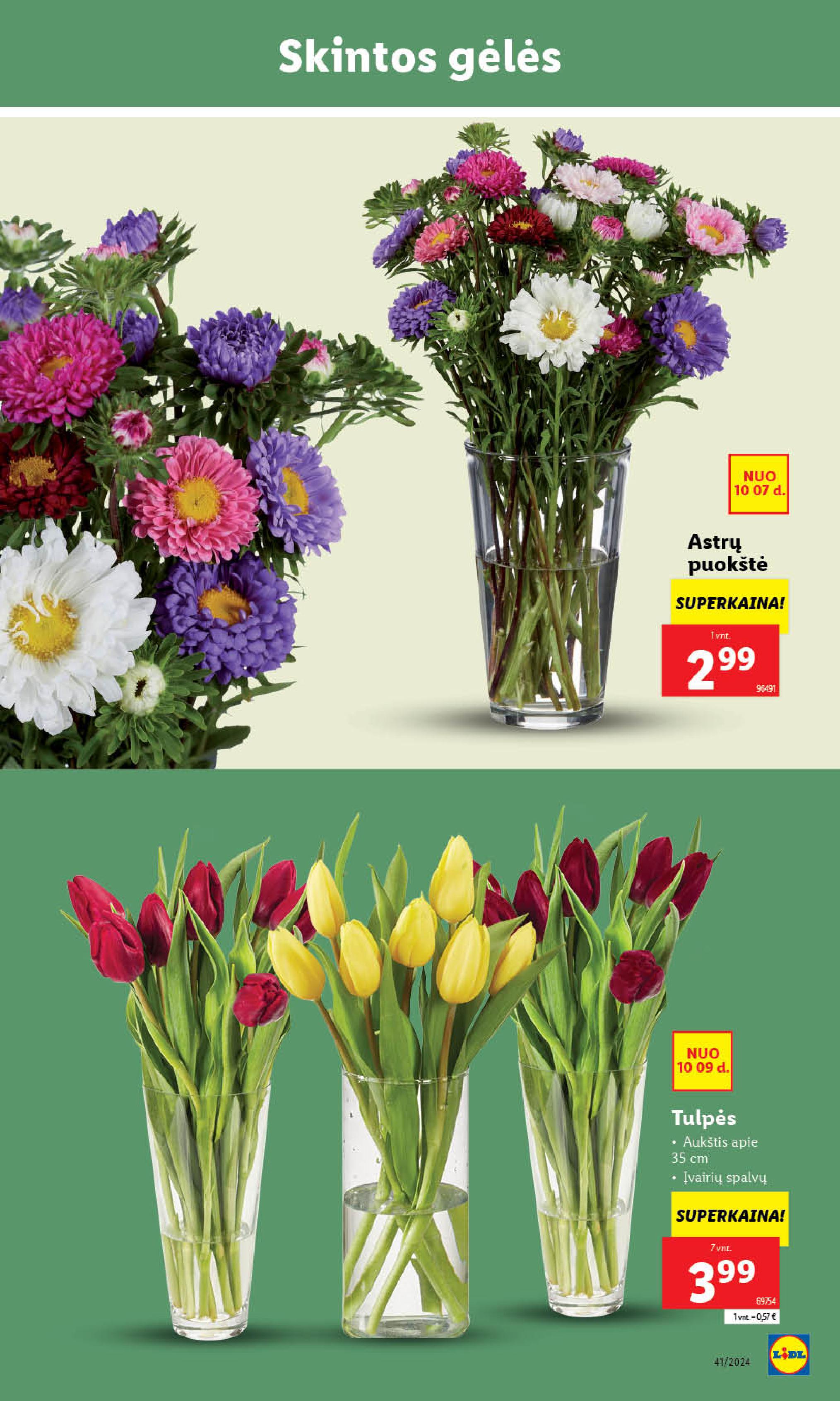Naujausias LIDL kaininis katalogas 2024.10.07 - 2024.10.13