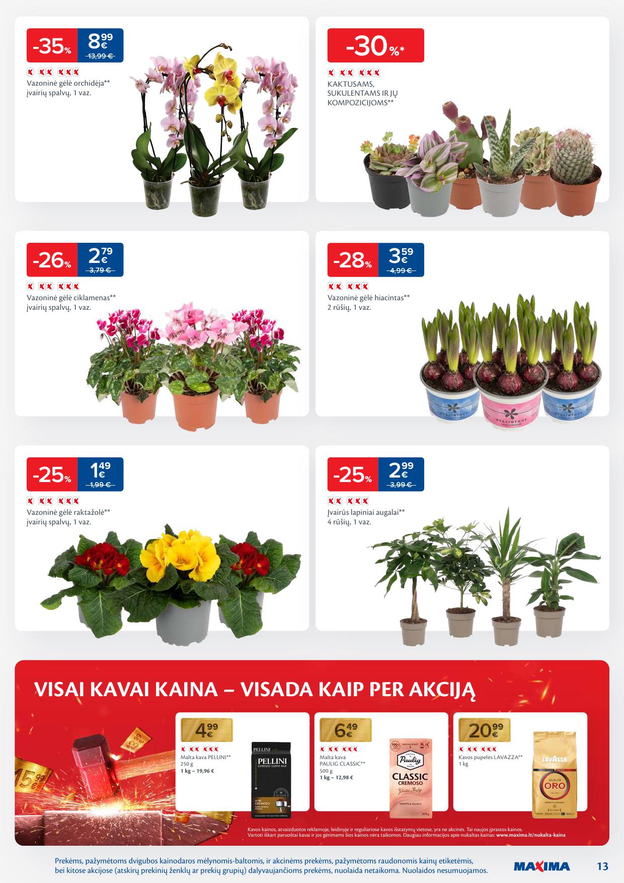 Naujausias MAXIMA kaininis katalogas 2026.01.13 - 2026.01.19
