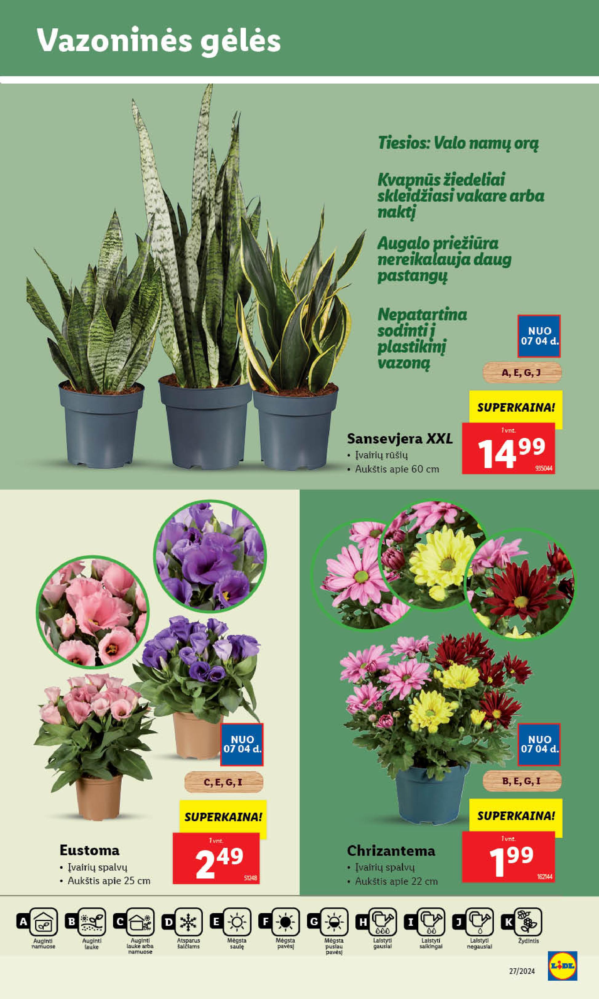 Naujausias LIDL kaininis katalogas 2024.07.01 - 2024.07.07
