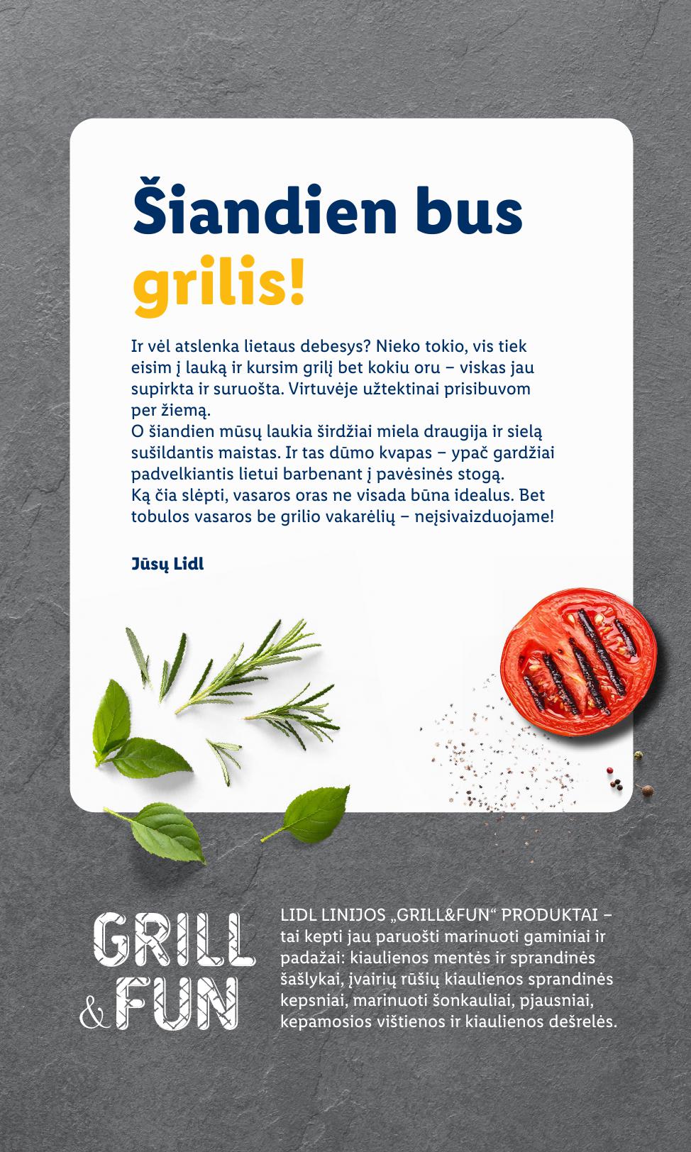 LIDL grilio katalogas "Grilis gardumo, kaina pigumo"