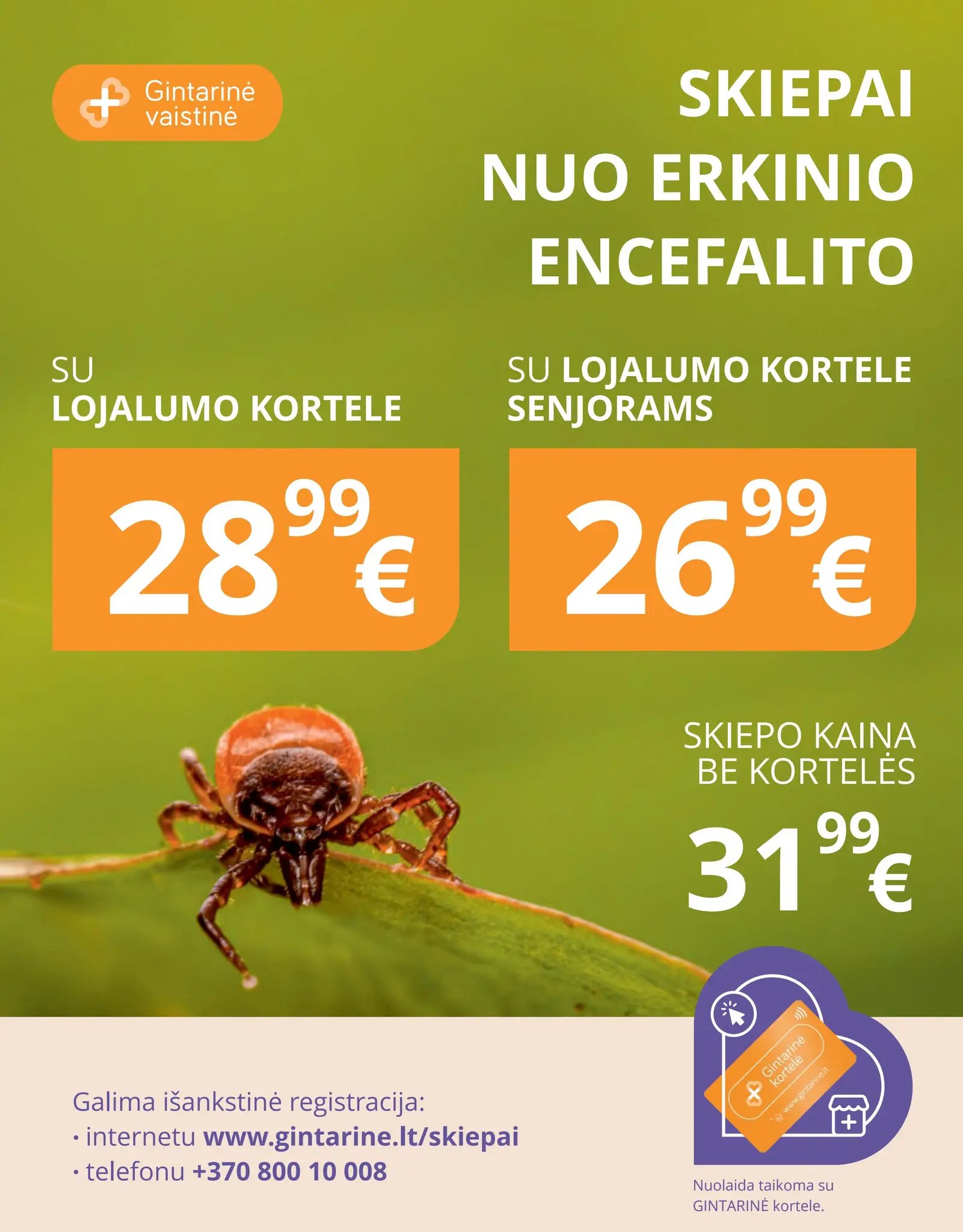 Naujas GINTARINĖS vaistinės leidinys nuo 2026.08.01 iki 2026.08.31