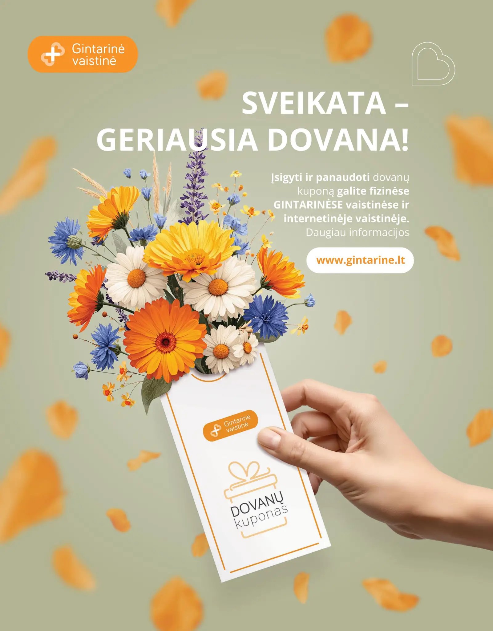 Naujas GINTARINĖS vaistinės leidinys nuo 2026.08.01 iki 2026.08.31