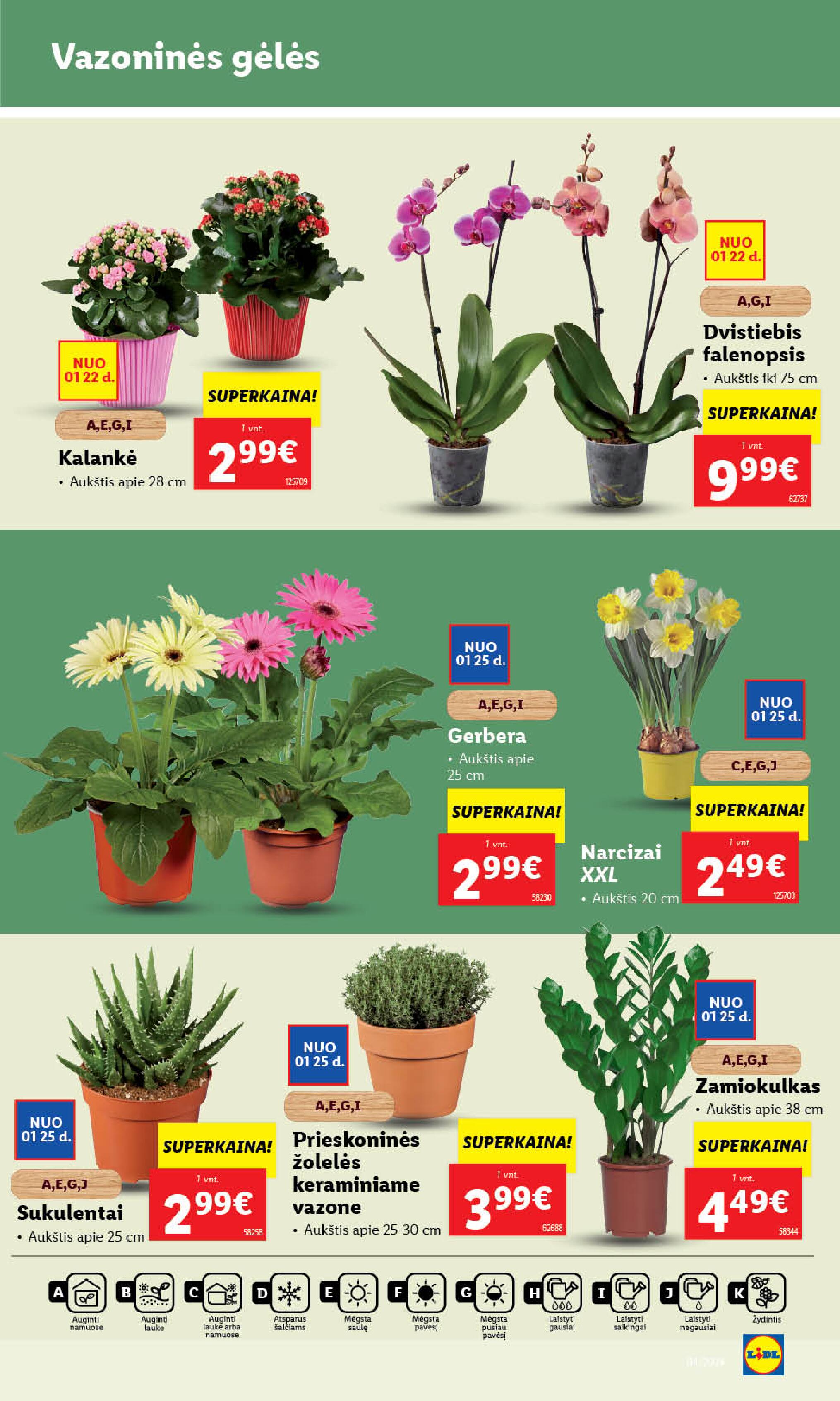Naujausias LIDL kaininis katalogas 2024.01.22 - 2024.01.28