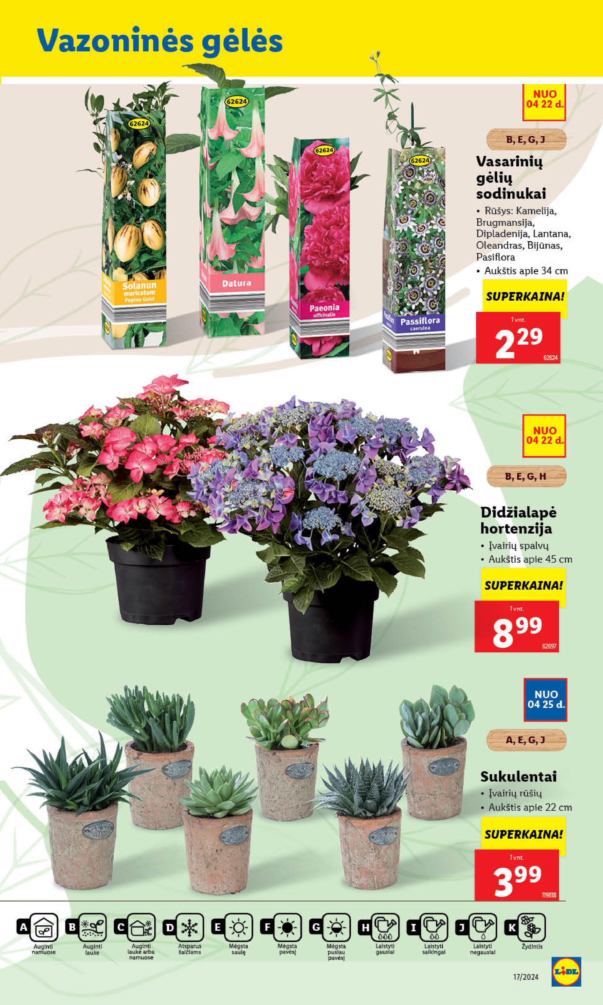 Naujausias LIDL kaininis katalogas 2024.04.22 - 2024.04.28