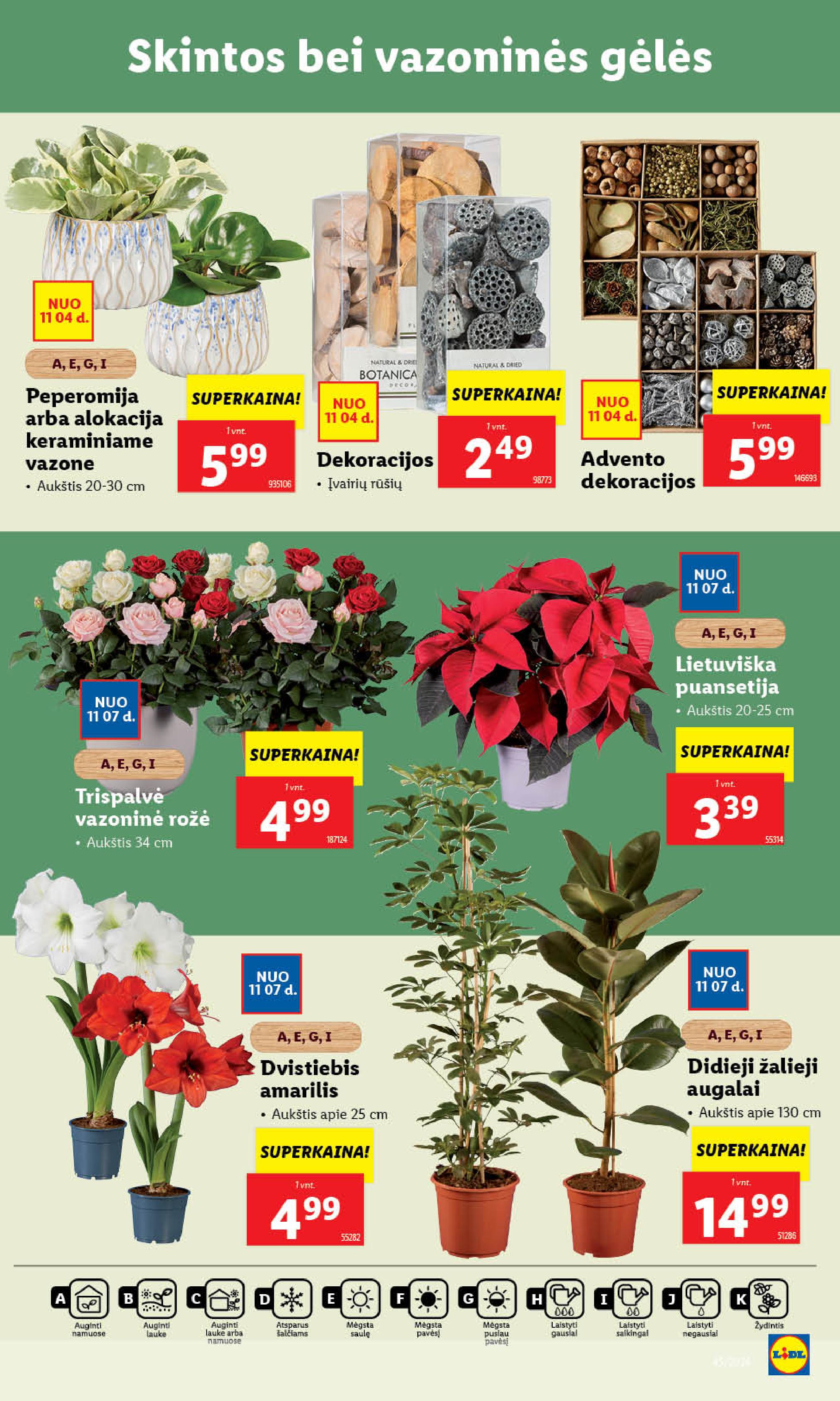Naujausias LIDL kaininis katalogas 2024.11.04 - 2024.11.10