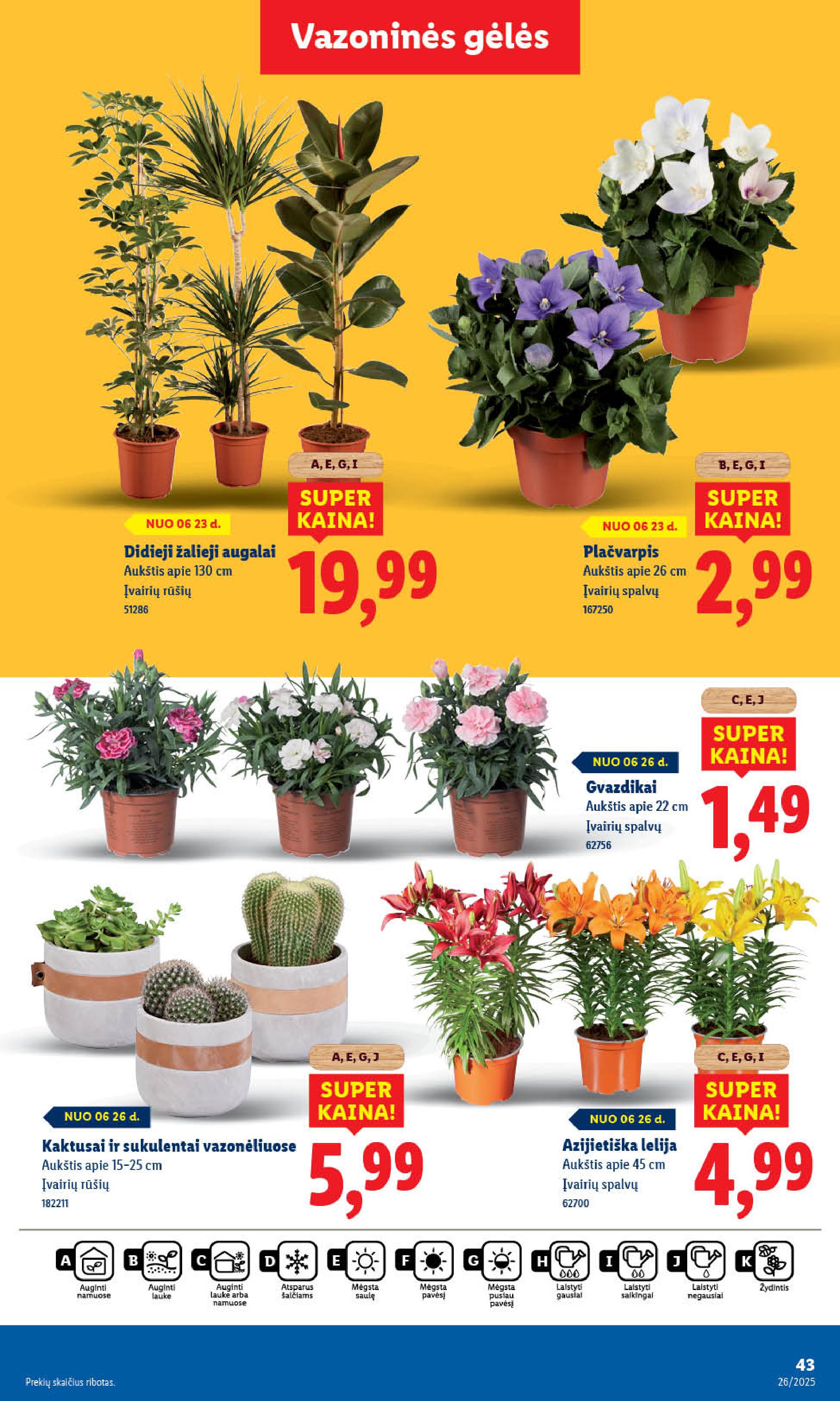 LIDL maisto prekių leidinukas nuo ketvirtadienio 2025.06.26. iki 2025.06.29