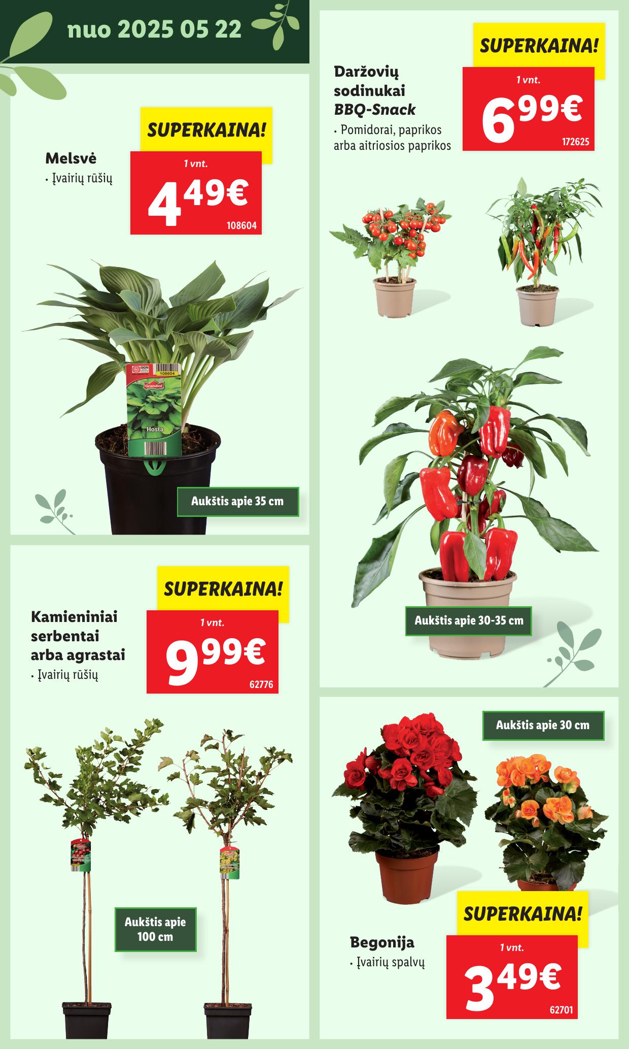 LIDL katalogas "Švenčiame sodą" galioja nuo 2025.05.12