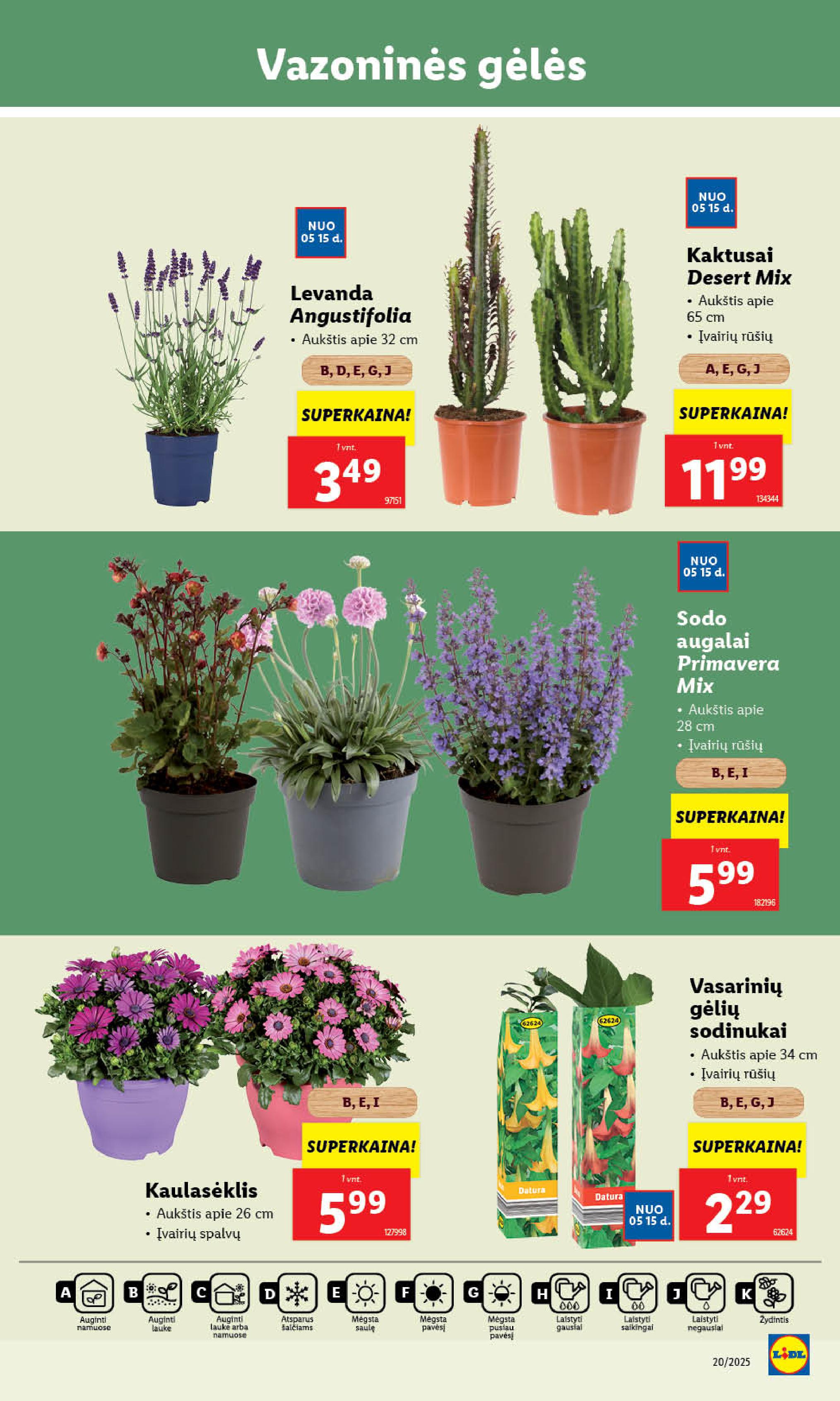 Naujausias LIDL kaininis katalogas 2025.05.12 - 2025.05.18