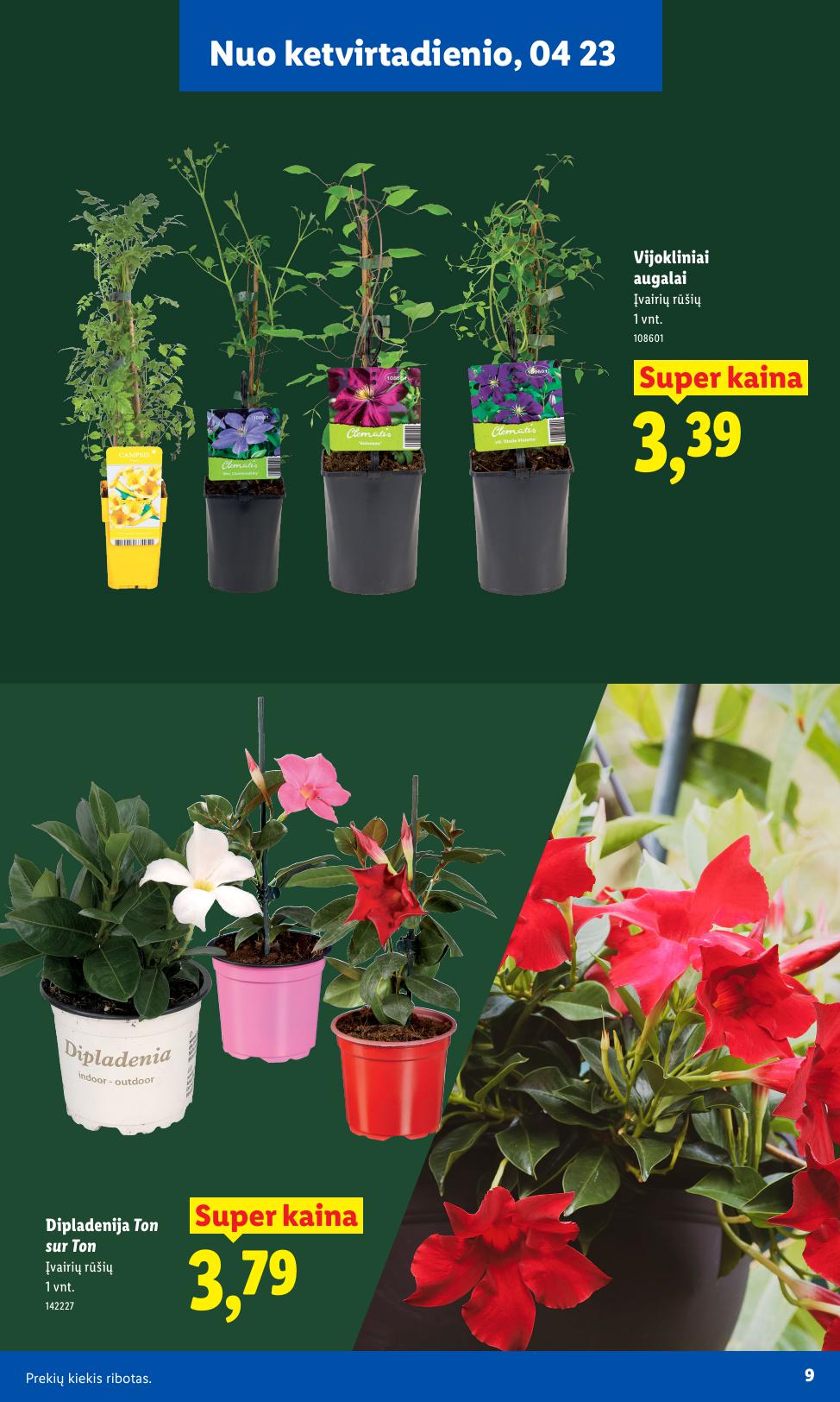 LIDL katalogas "Sodui valio !" galioja nuo 2026.03.30
