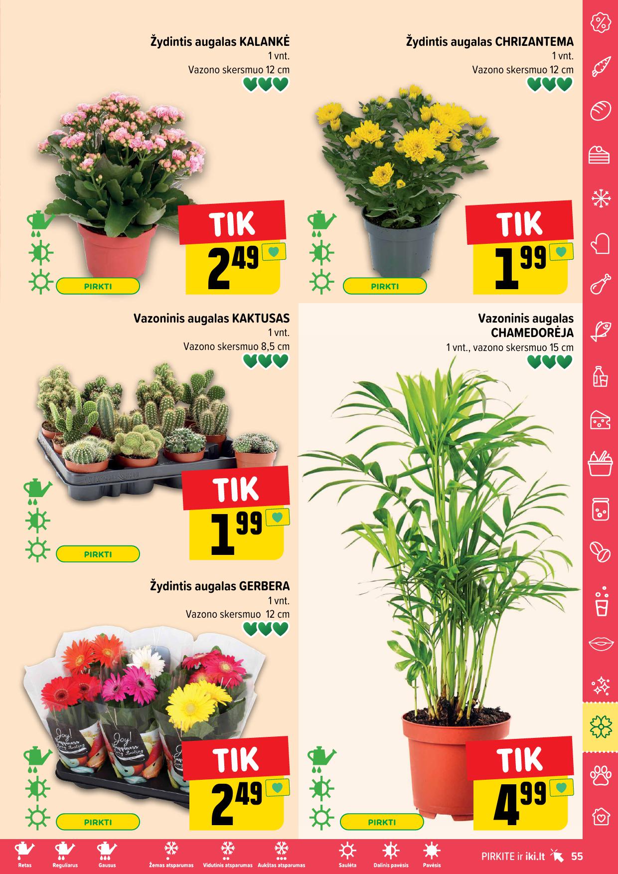 IKI SAVAITĖLĖ akcijų ir nuolaidų leidinys Nr.24 2025.06.09 - 2025.06.15