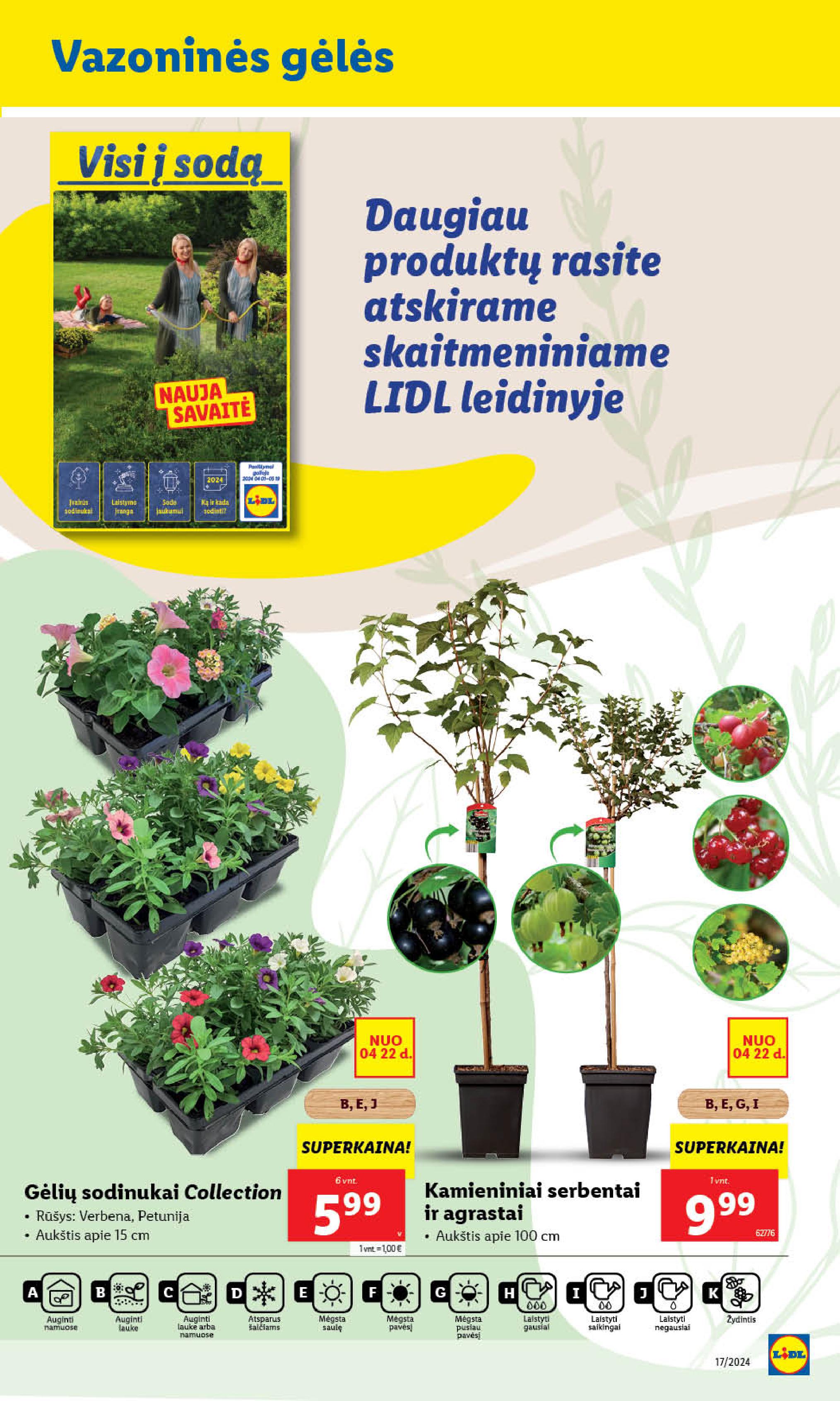 Naujausias LIDL kaininis katalogas 2024.04.22 - 2024.04.28