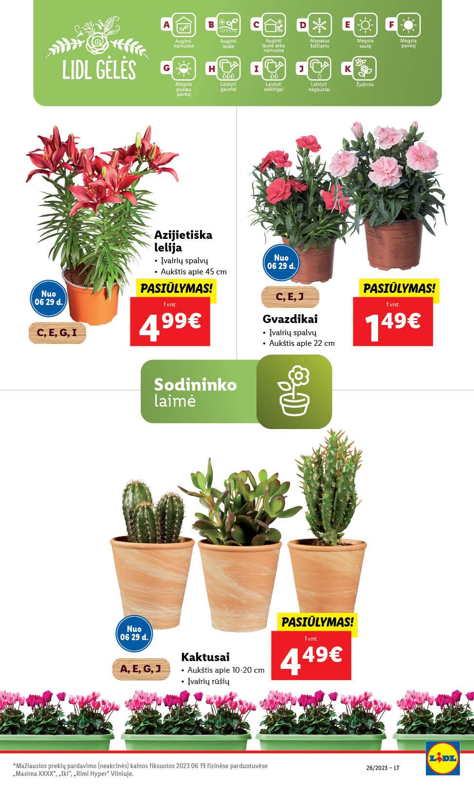 Naujausias LIDL kaininis katalogas 2023.06.26 - 2023.07.02