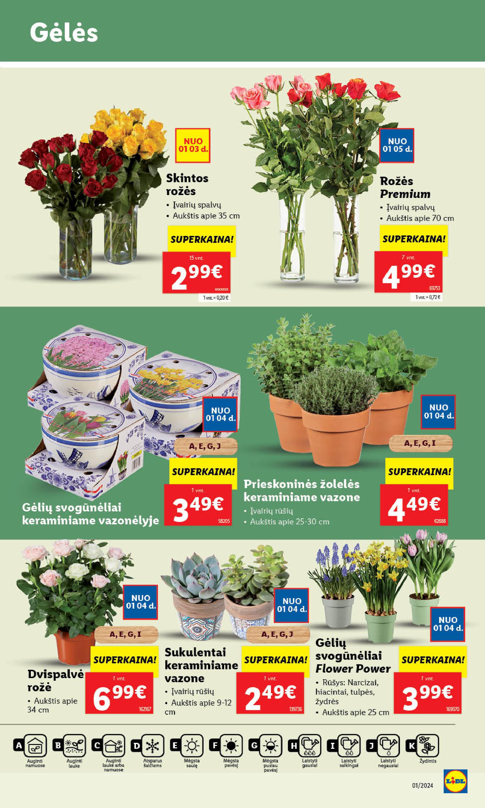 Naujausias LIDL kaininis katalogas 2024.01.02 - 2024.01.07