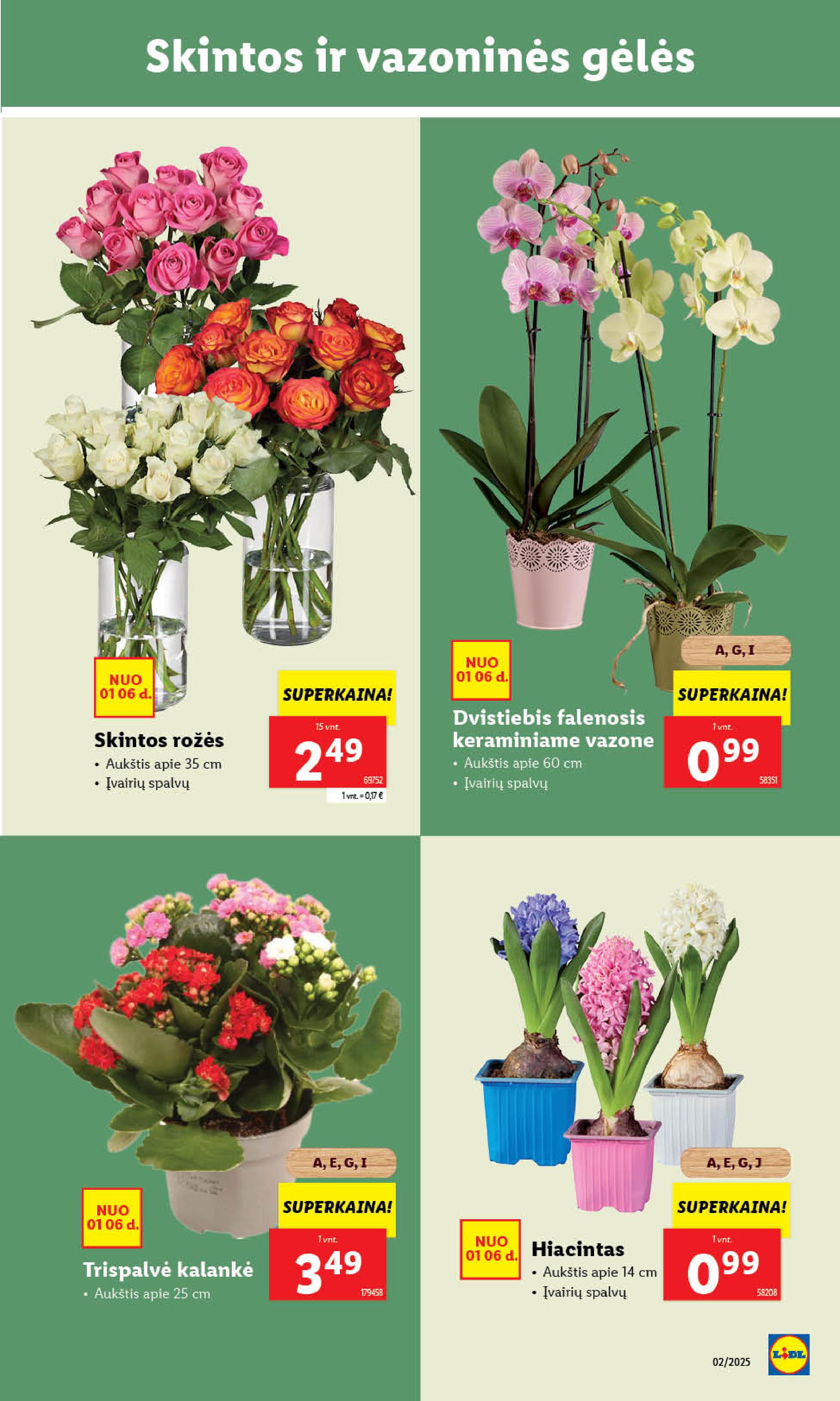 Naujausias LIDL kaininis katalogas 2025.01.06 - 2025.01.12