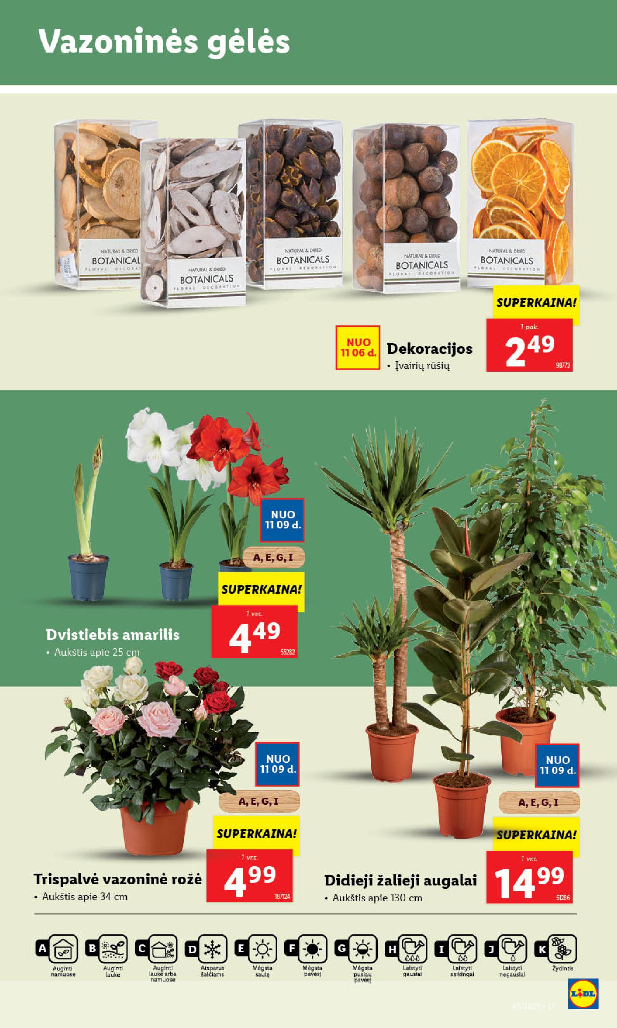 Naujausias LIDL kaininis katalogas 2023.11.06 - 2023.11.12
