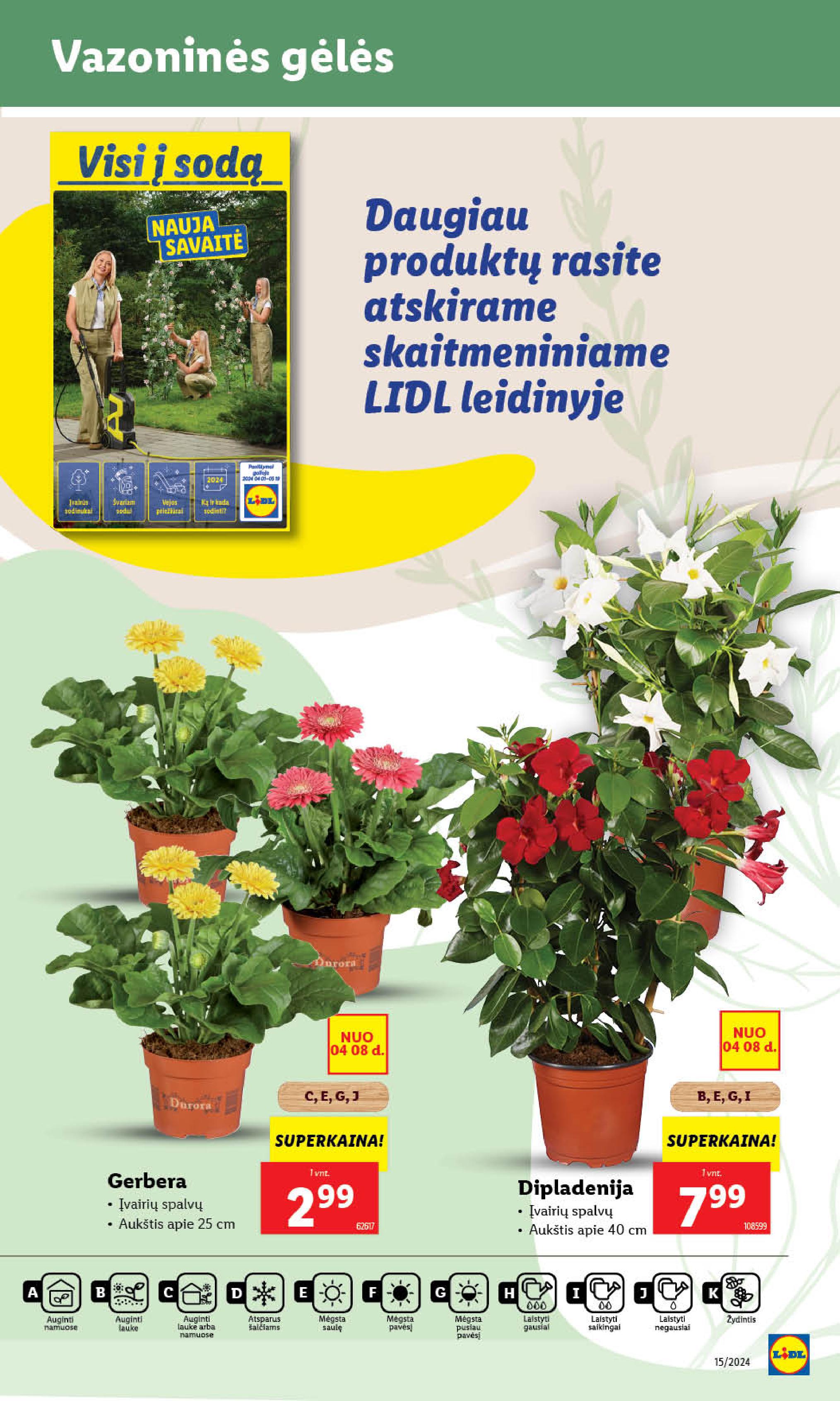 Naujausias LIDL kaininis katalogas 2024.04.08 - 2024.04.14