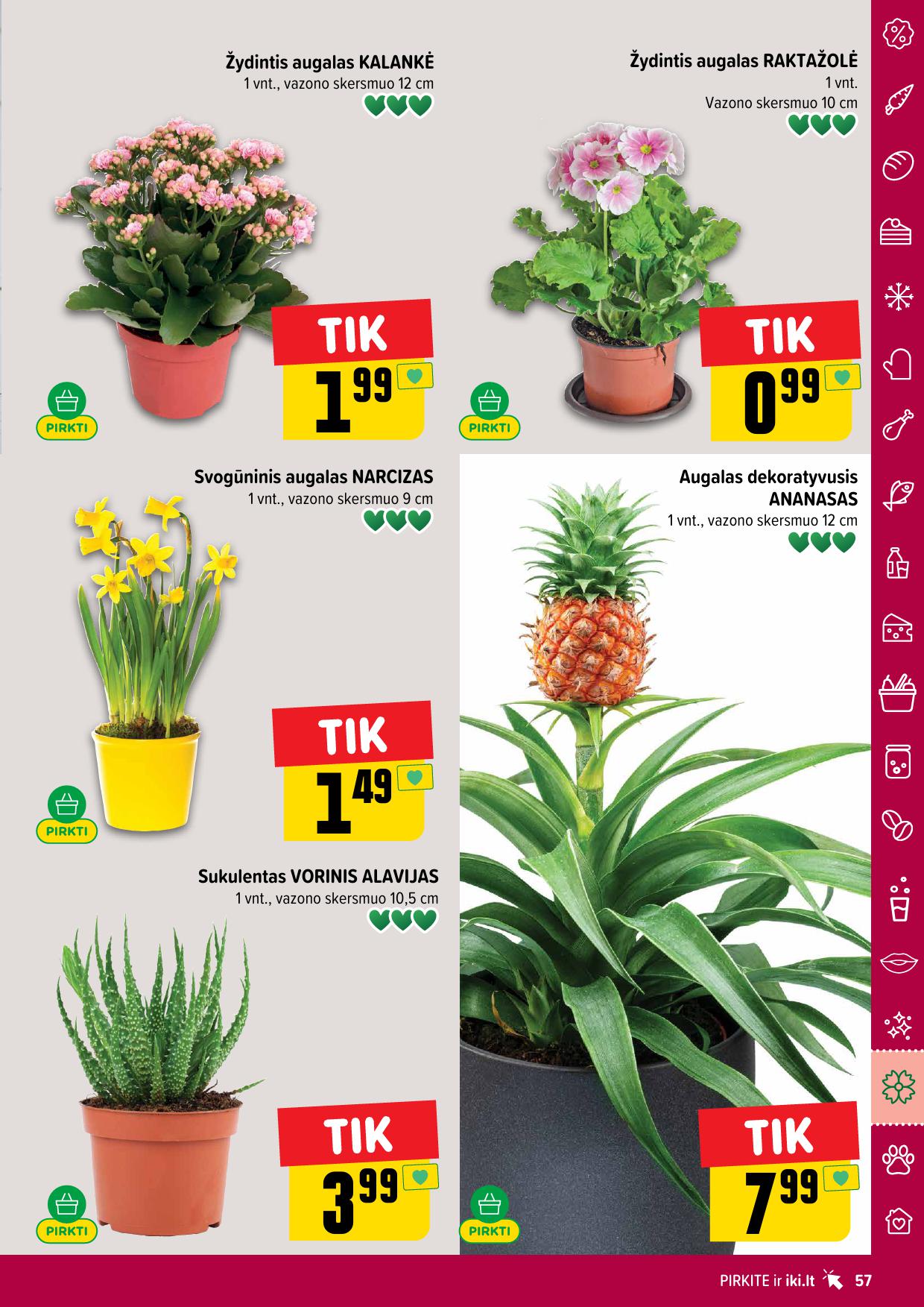 Naujausias IKI kaininis katalogas 2026.02.16 - 2026.02.22