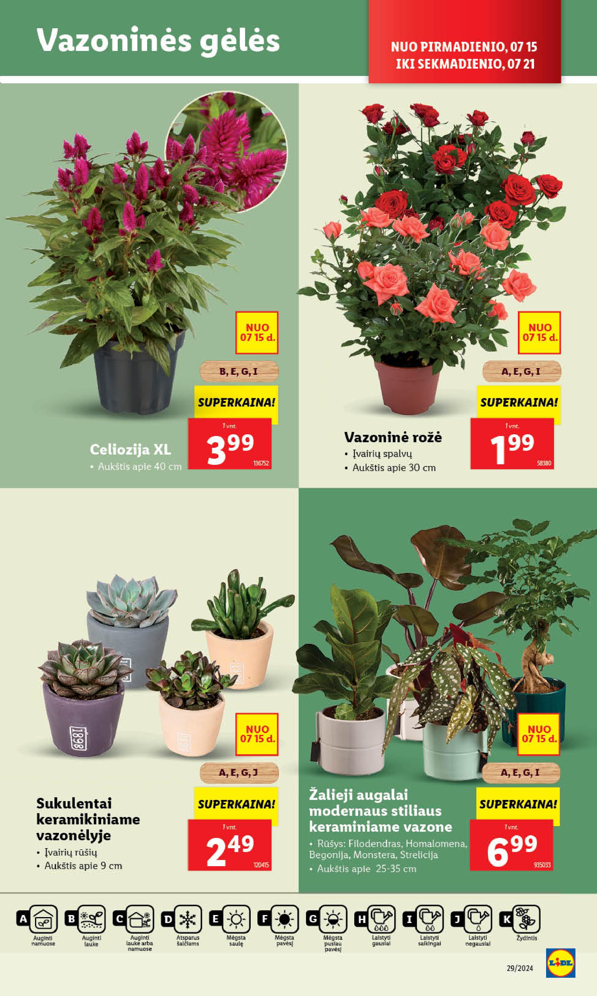 Naujausias LIDL kaininis katalogas 2024.07.15 - 2024.07.21