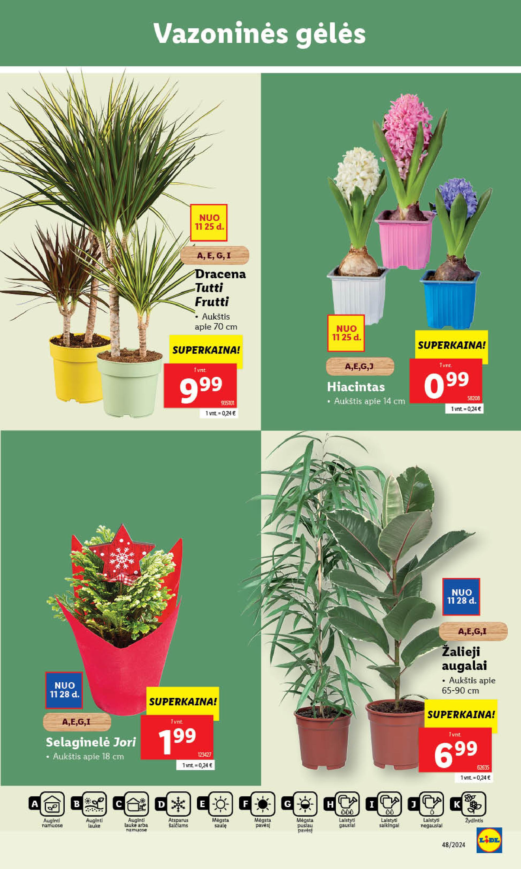 Naujausias LIDL kaininis katalogas 2024.11.25 - 2024.12.01