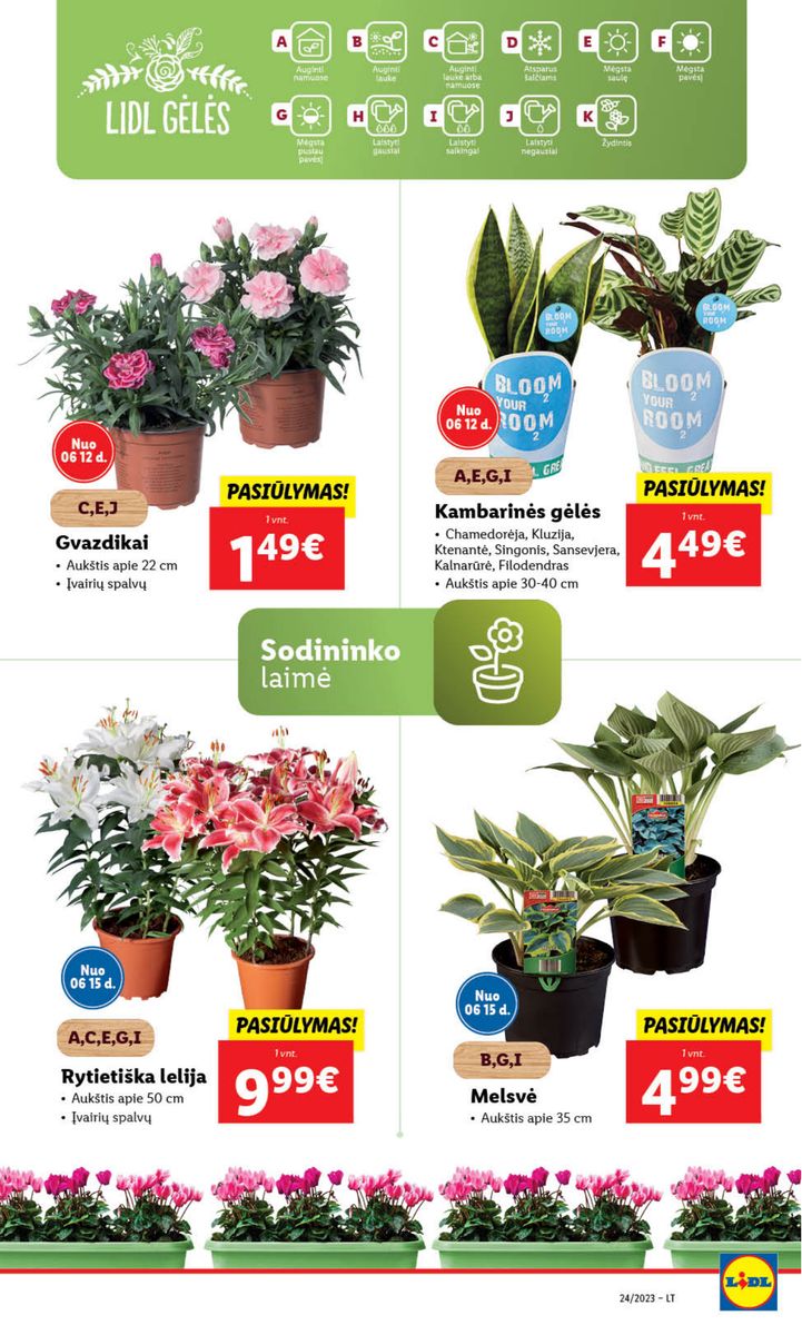 Naujausias LIDL kaininis katalogas 2023.06.12 - 2023.06.18