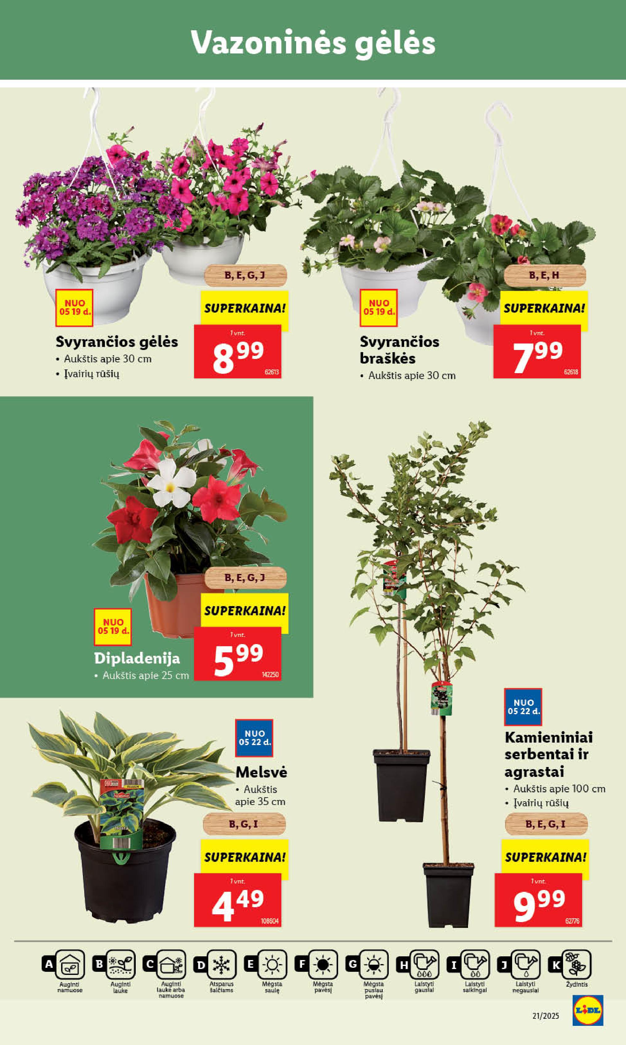 Naujausias LIDL kaininis katalogas 2025.05.19 - 2025.05.25