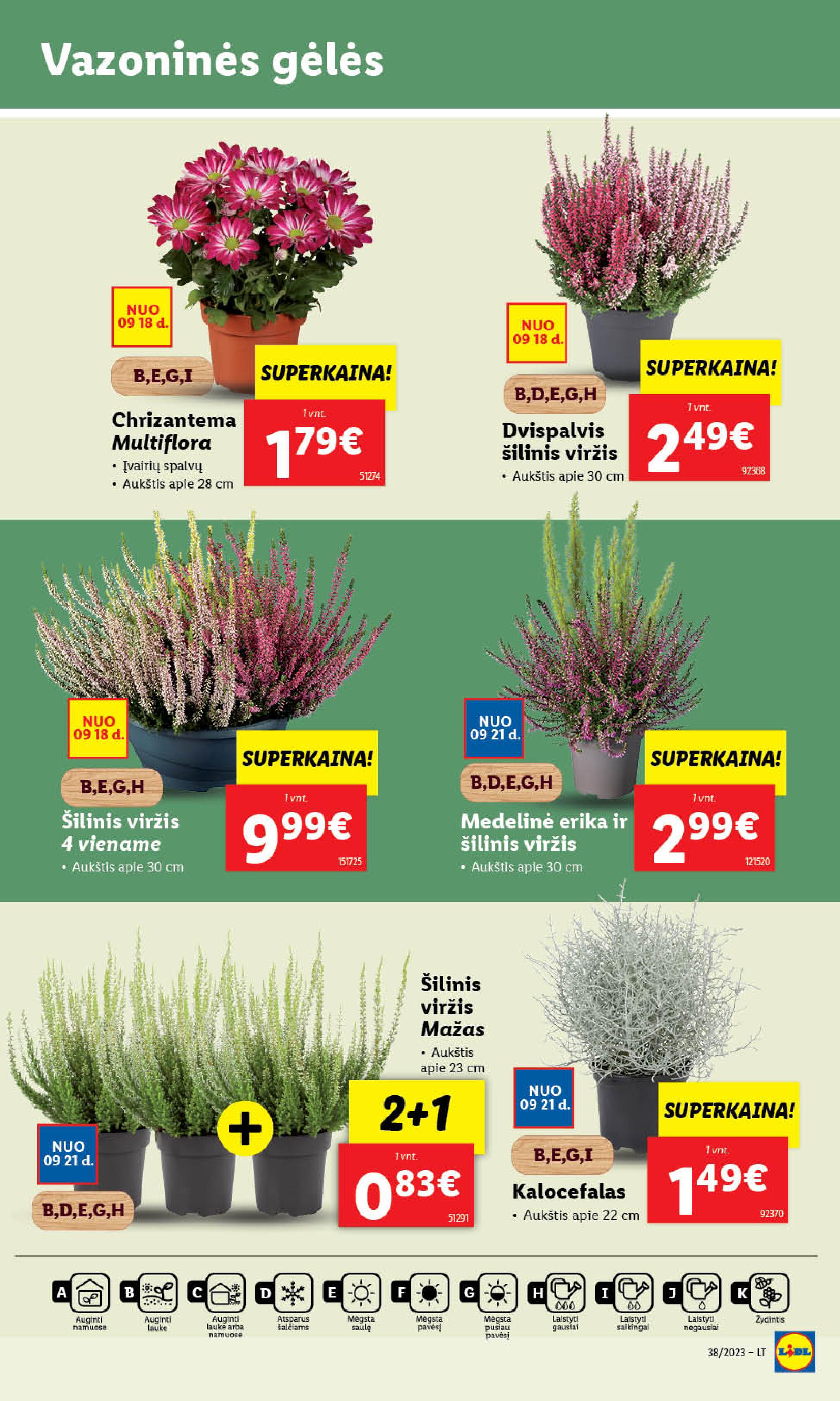 Naujausias LIDL kaininis katalogas 2023.09.18 - 2023.09.24