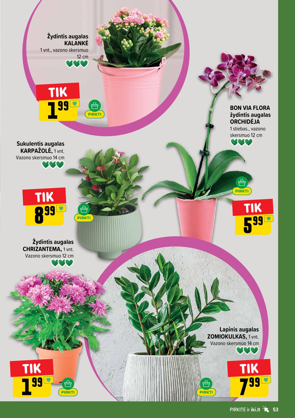 IKI SAVAITĖLĖ akcijų ir nuolaidų leidinys Nr.27 2026.06.29 - 2026.07.05