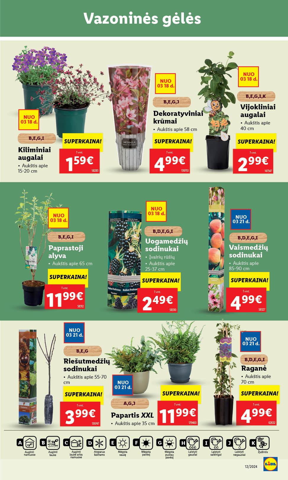 Naujausias LIDL kaininis katalogas 2024.03.18 - 2024.03.24