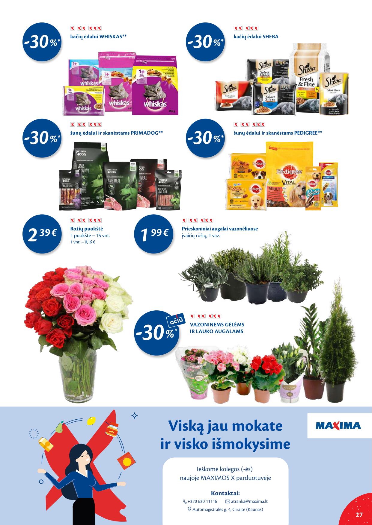Naujausias MAXIMA kaininis katalogas 2022.12.27 - 2023.01.02