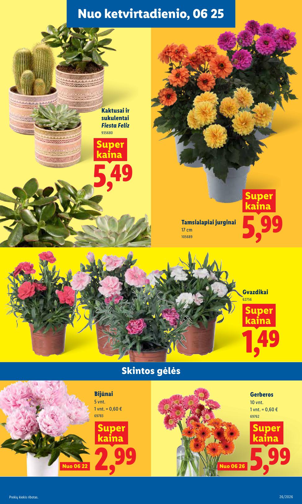 Naujausias LIDL kaininis katalogas 2026.06.22 - 2026.06.28
