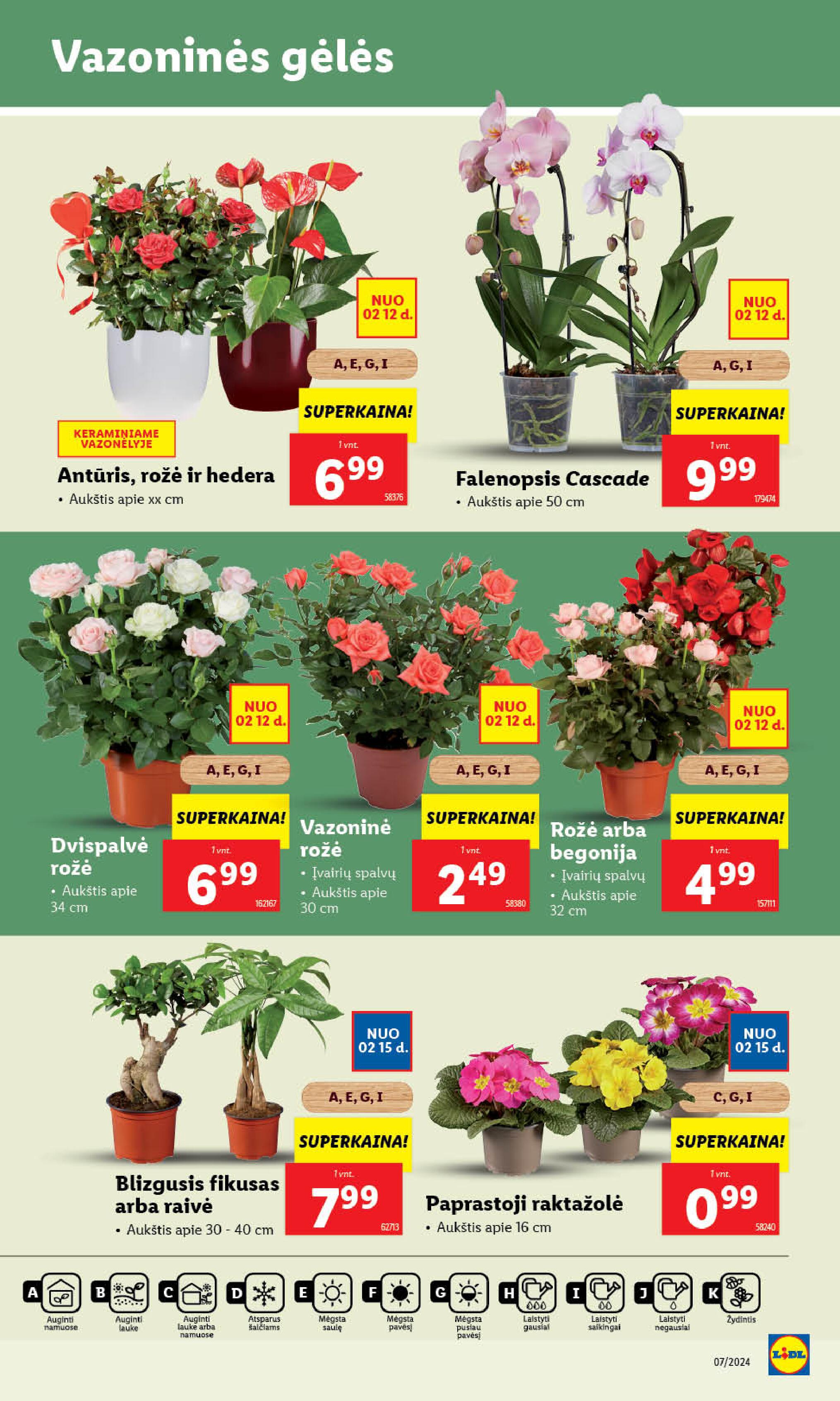 Naujausias LIDL kaininis katalogas 2024.02.12 - 2024.02.18