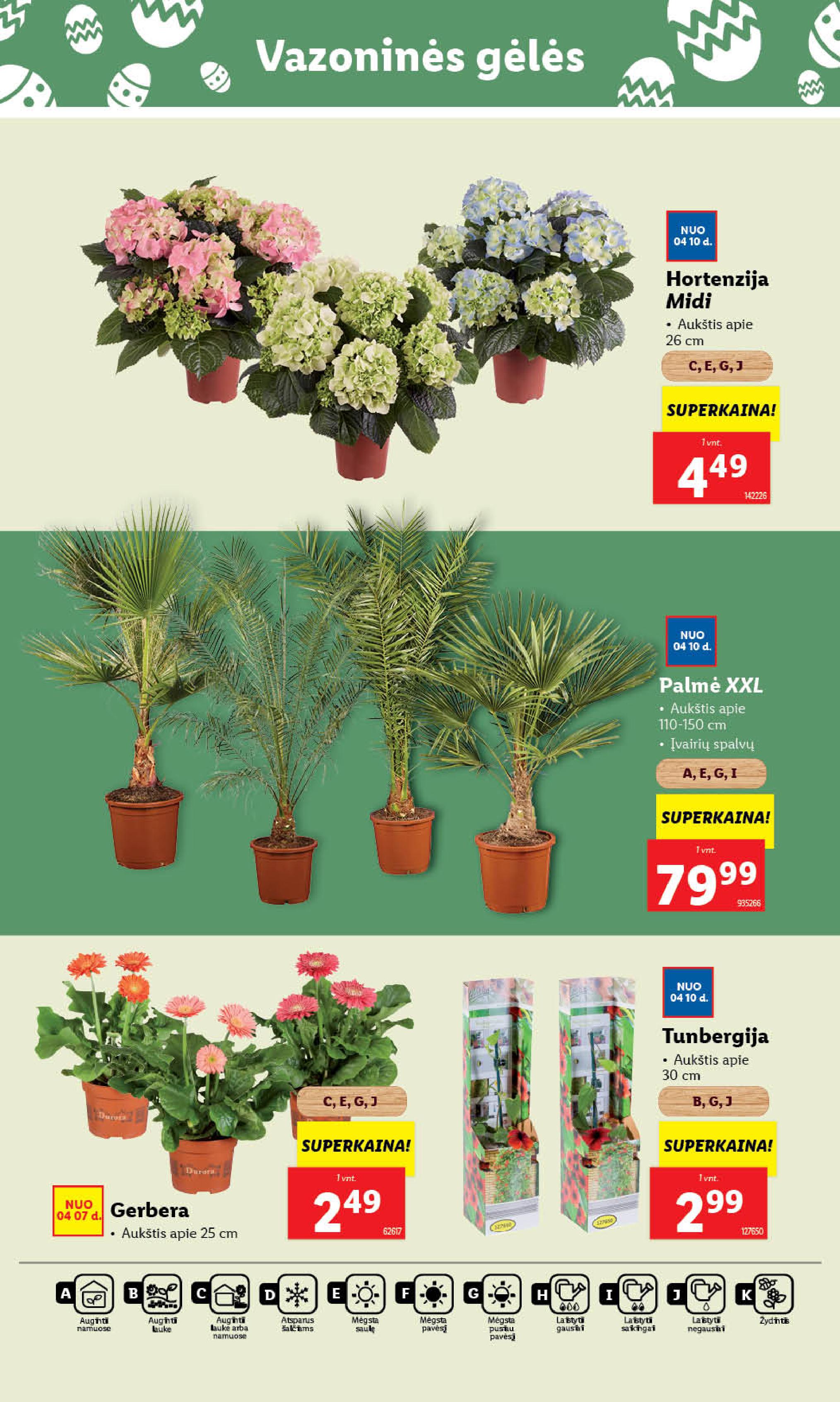 Naujausias LIDL kaininis katalogas 2025.04.07 - 2025.04.13