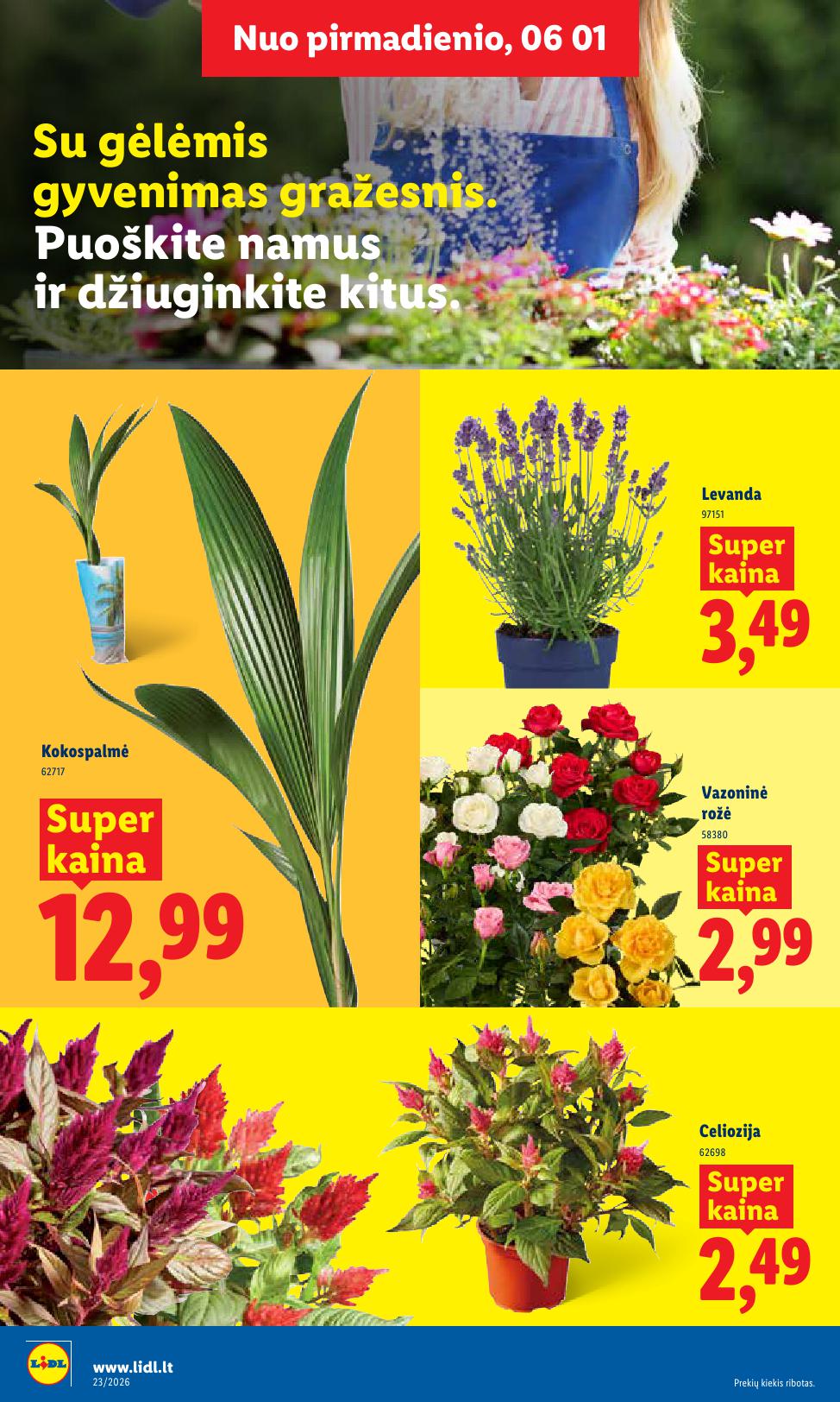 Naujausias LIDL kaininis katalogas 2026.06.01 - 2026.06.07