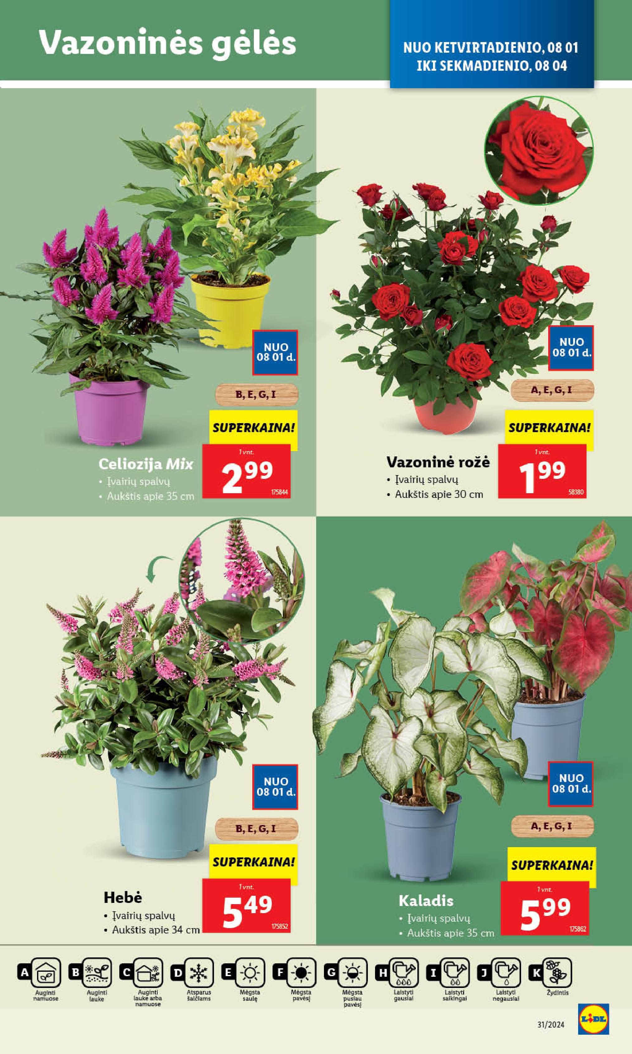 Naujausias LIDL kaininis katalogas 2024.07.29 - 2024.08.04