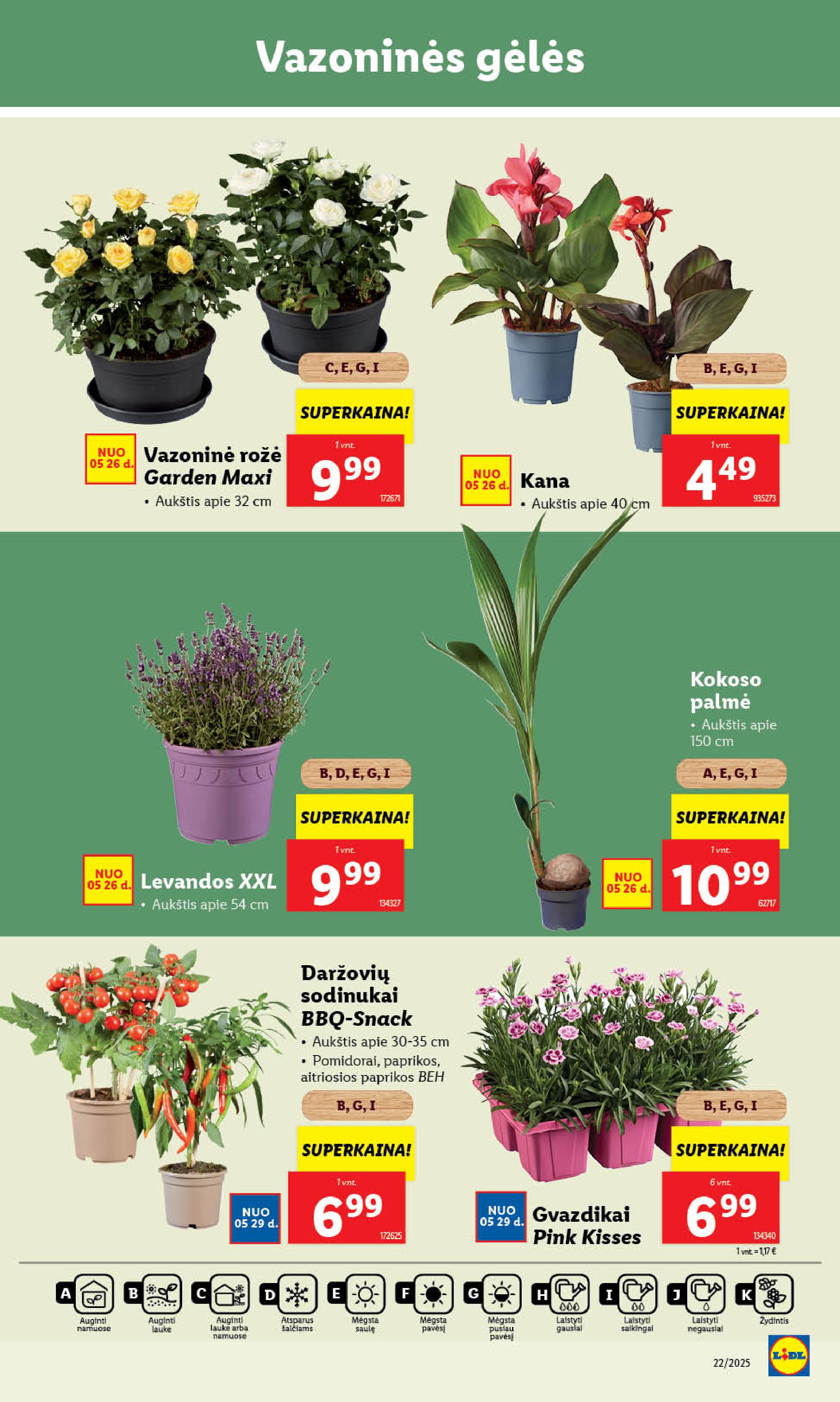Naujausias LIDL kaininis katalogas 2025.05.26 - 2025.06.01