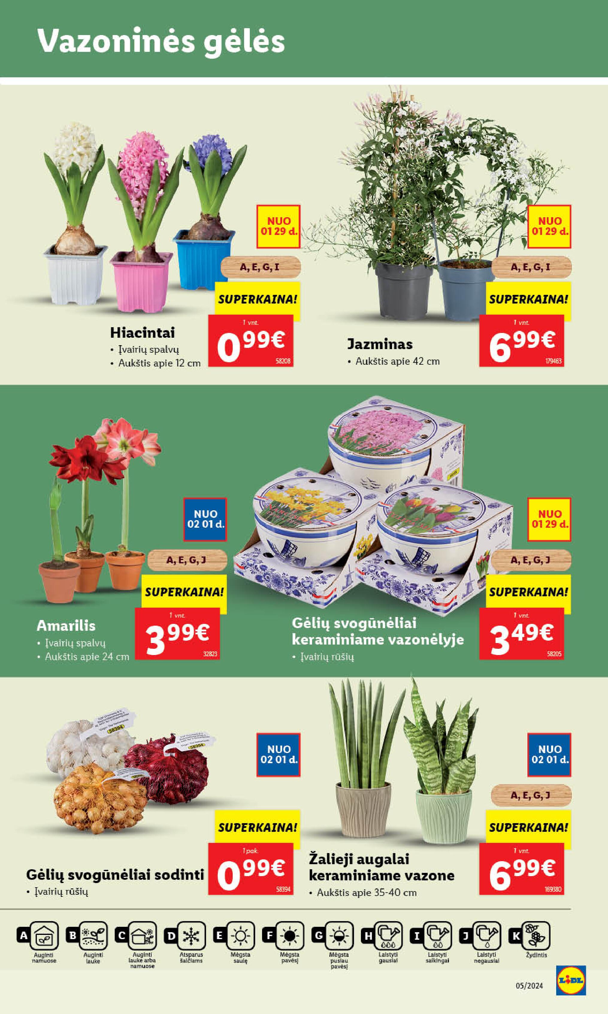 Naujausias LIDL kaininis katalogas 2024.01.29 - 2024.02.04