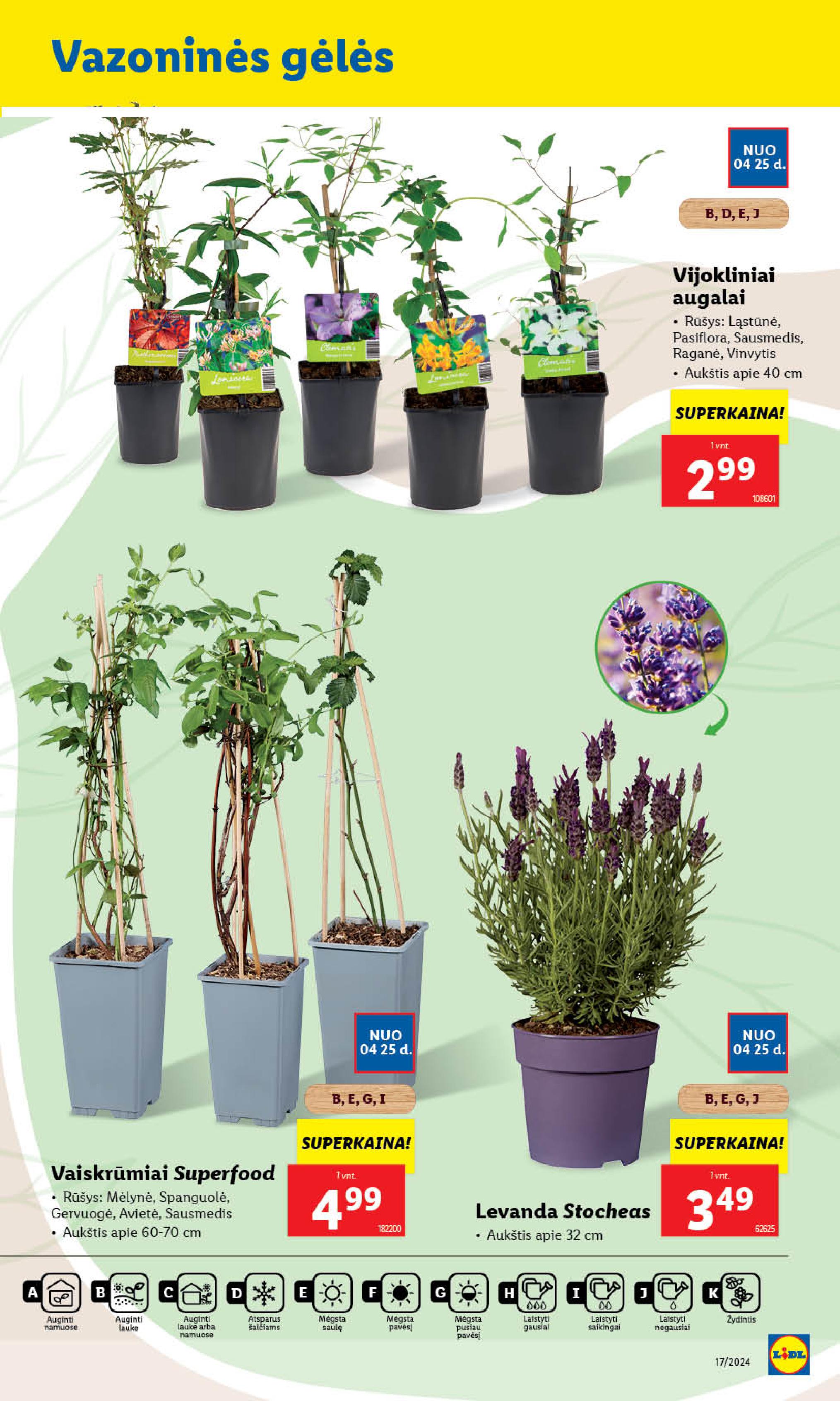 Naujausias LIDL kaininis katalogas 2024.04.22 - 2024.04.28