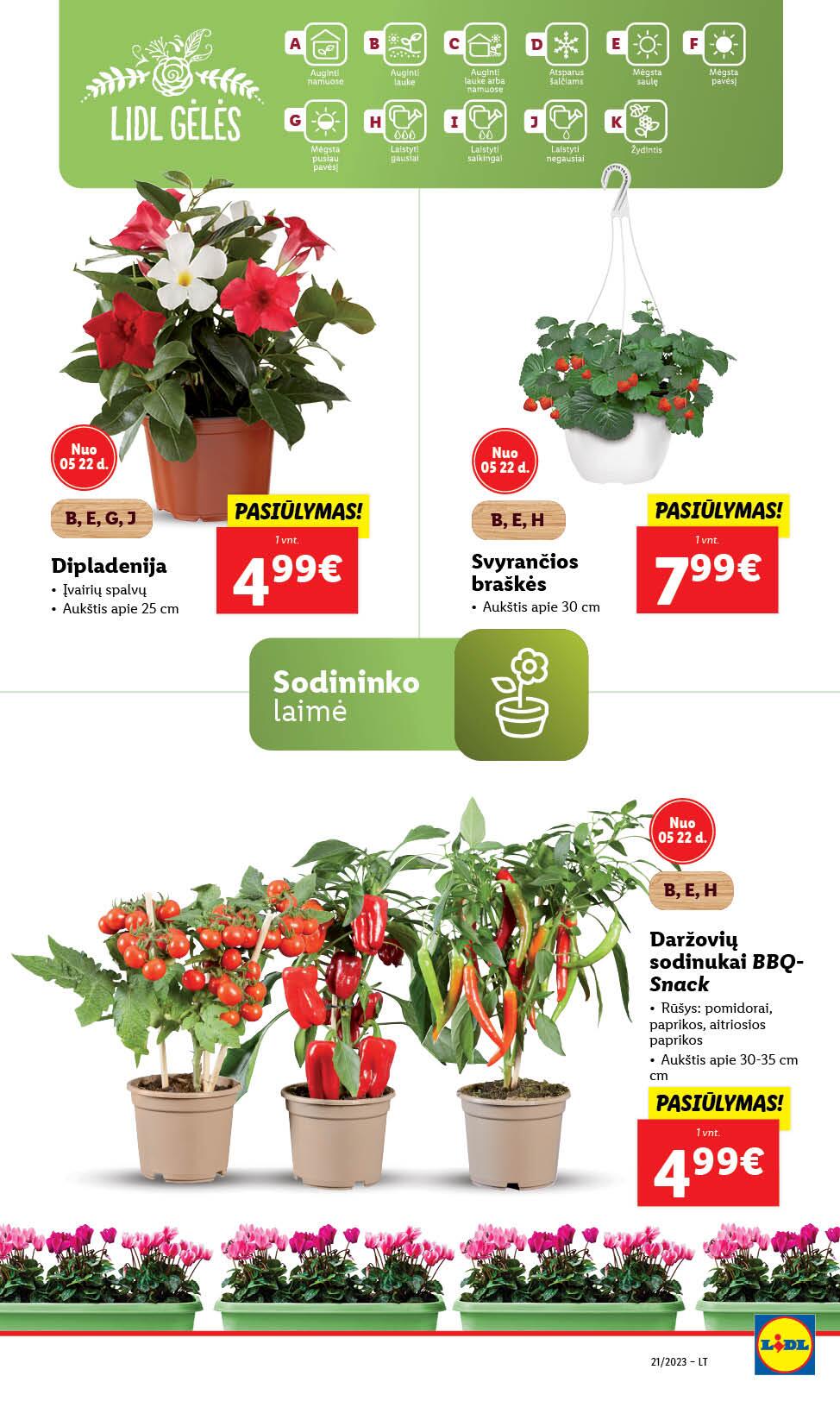 Naujausias LIDL kaininis katalogas 2023.05.22 - 2023.05.28