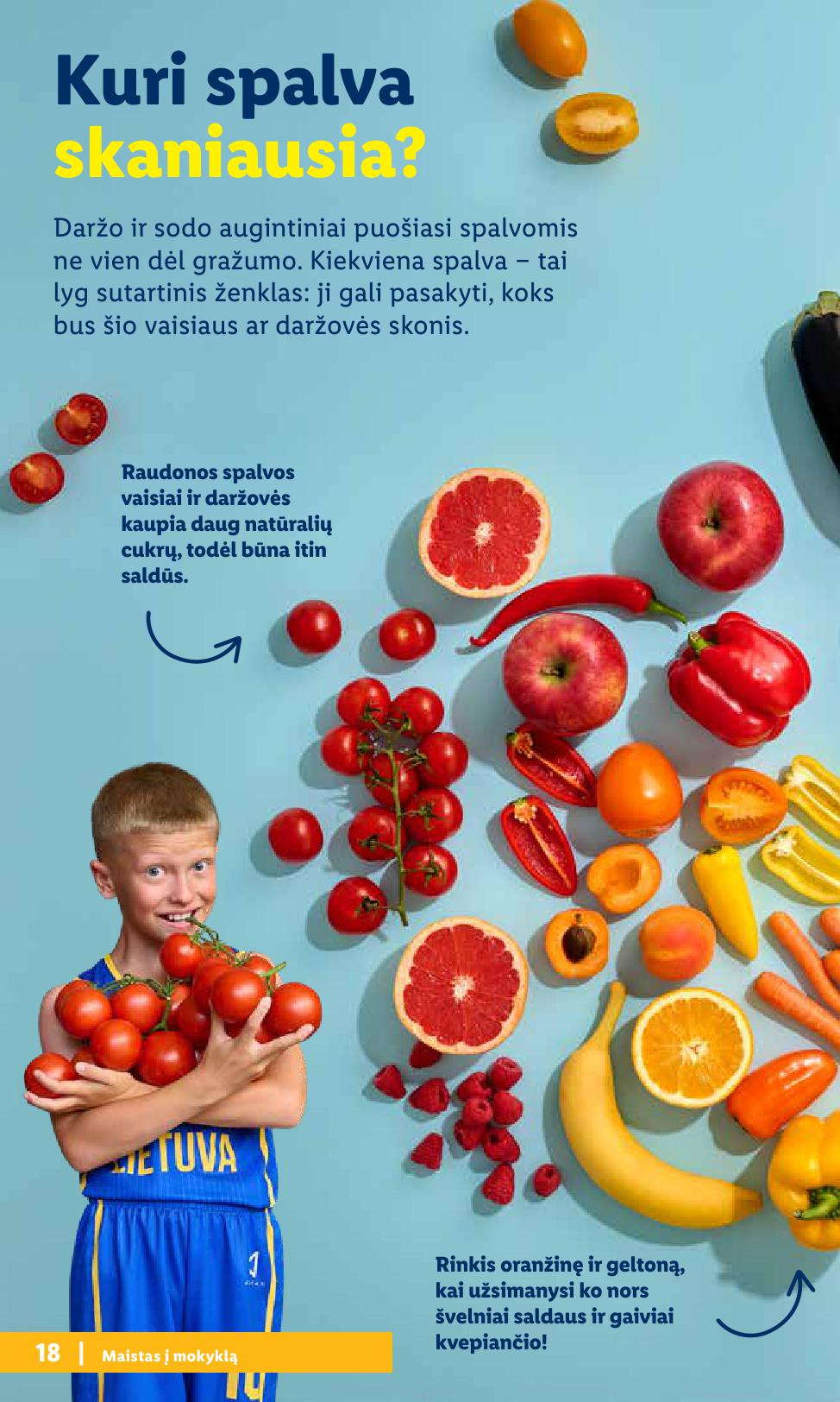 LIDL mokyklinių prekių katalogas "Atgal į mokyklą"