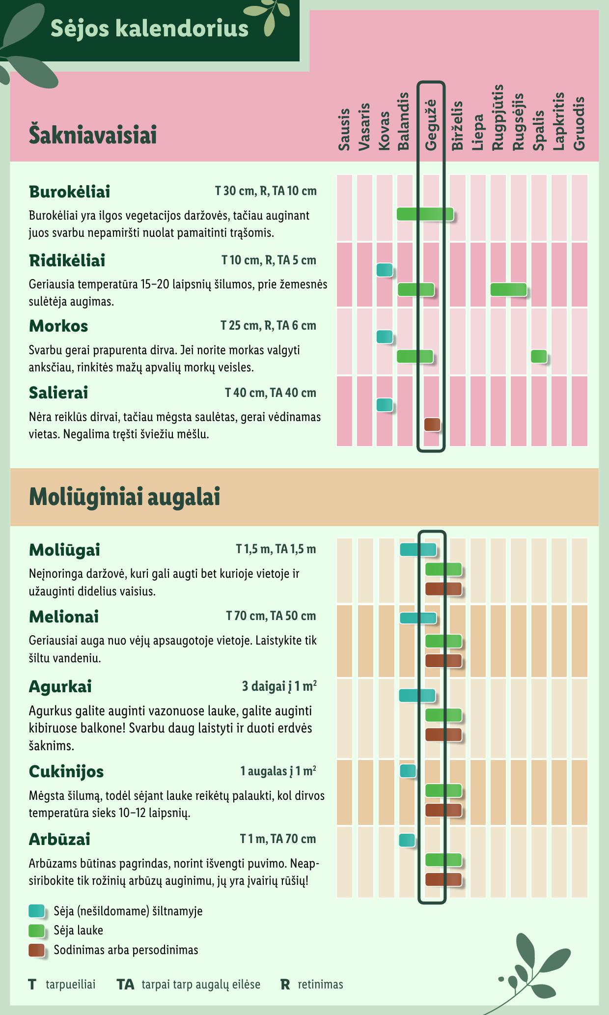 LIDL katalogas "Švenčiame sodą" galioja nuo 2025.05.12