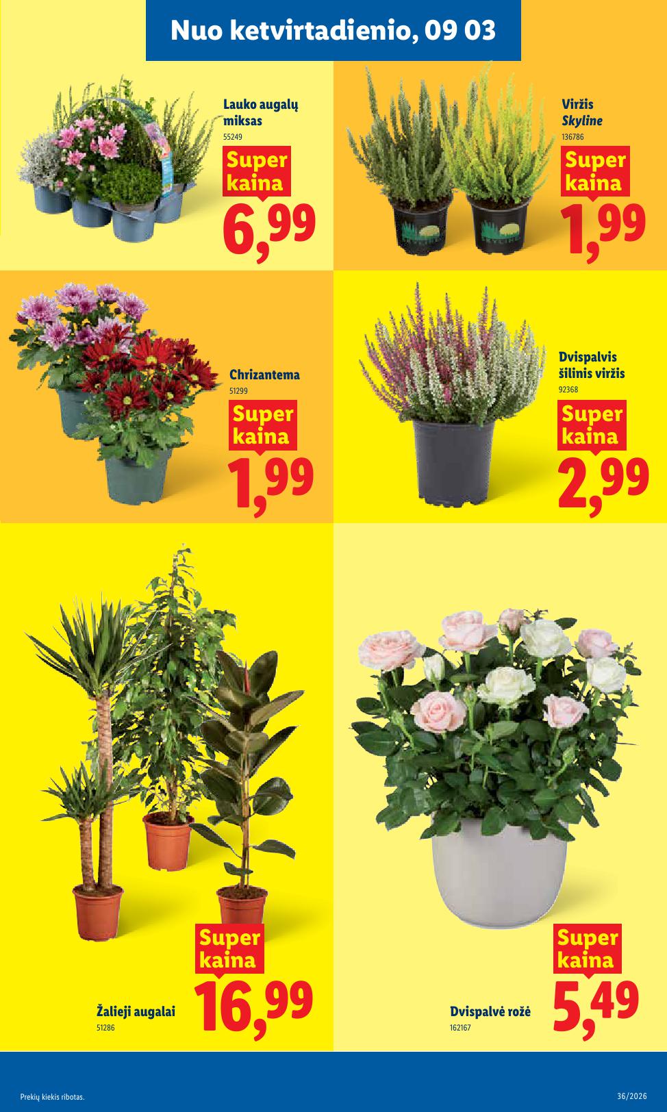 LIDL akcijų ir nuolaidų leidinys 2026.08.31 - 2026.09.06