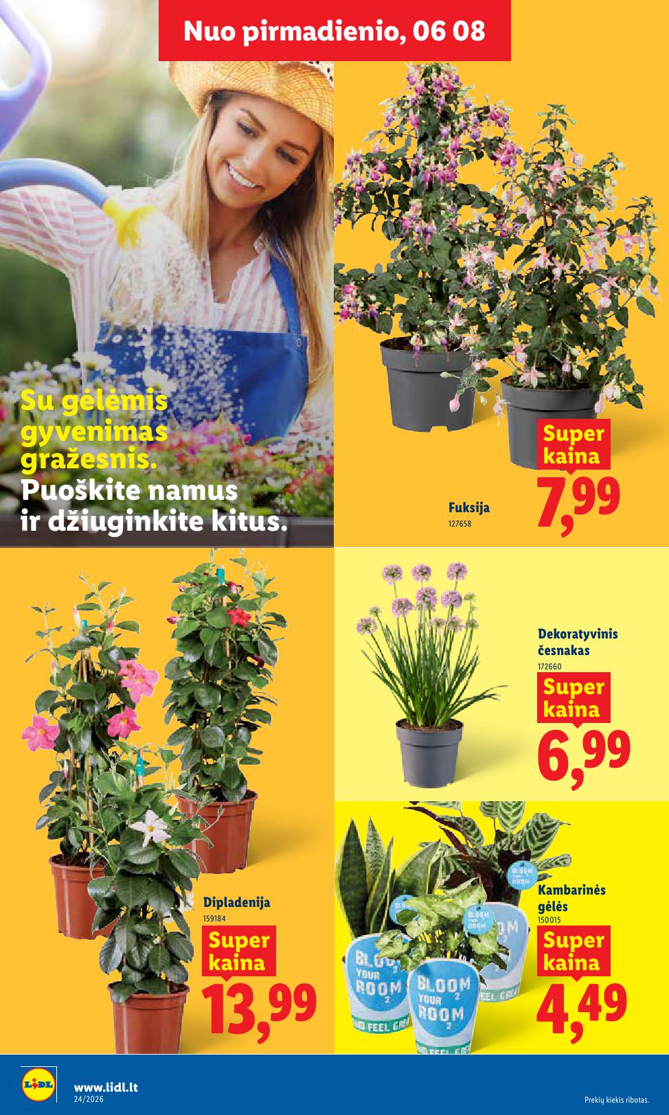 Naujausias LIDL kaininis katalogas 2026.06.08 - 2026.06.14