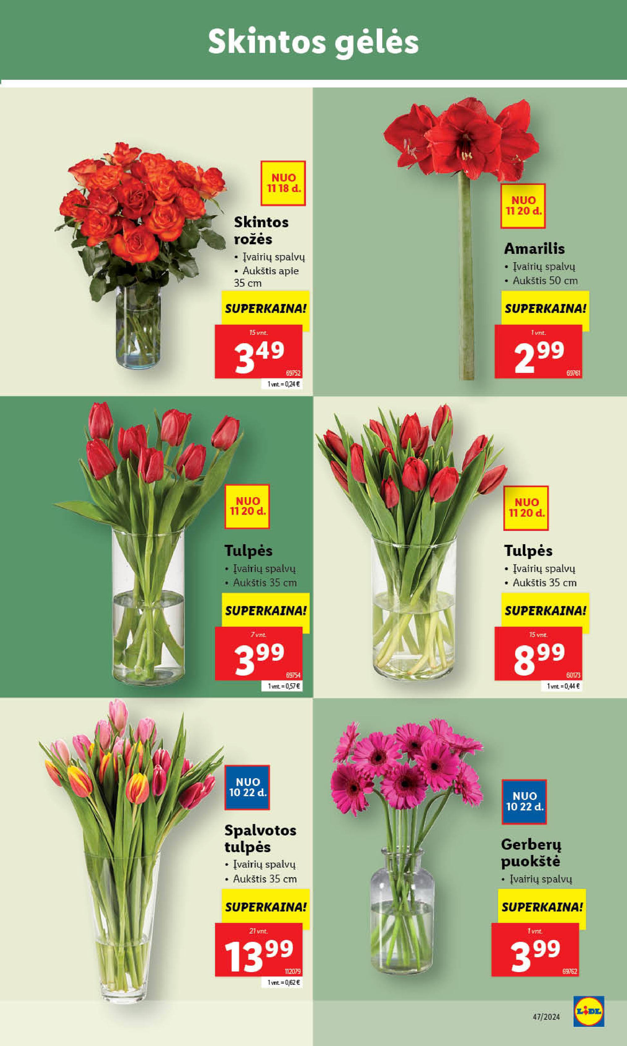 Naujausias LIDL kaininis katalogas 2024.11.18 - 2024.11.24