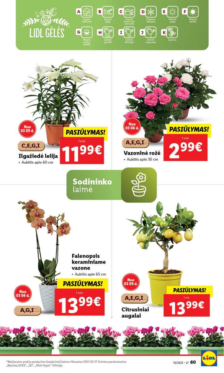Naujausias LIDL kaininis katalogas 2023.03.06 - 2023.03.12