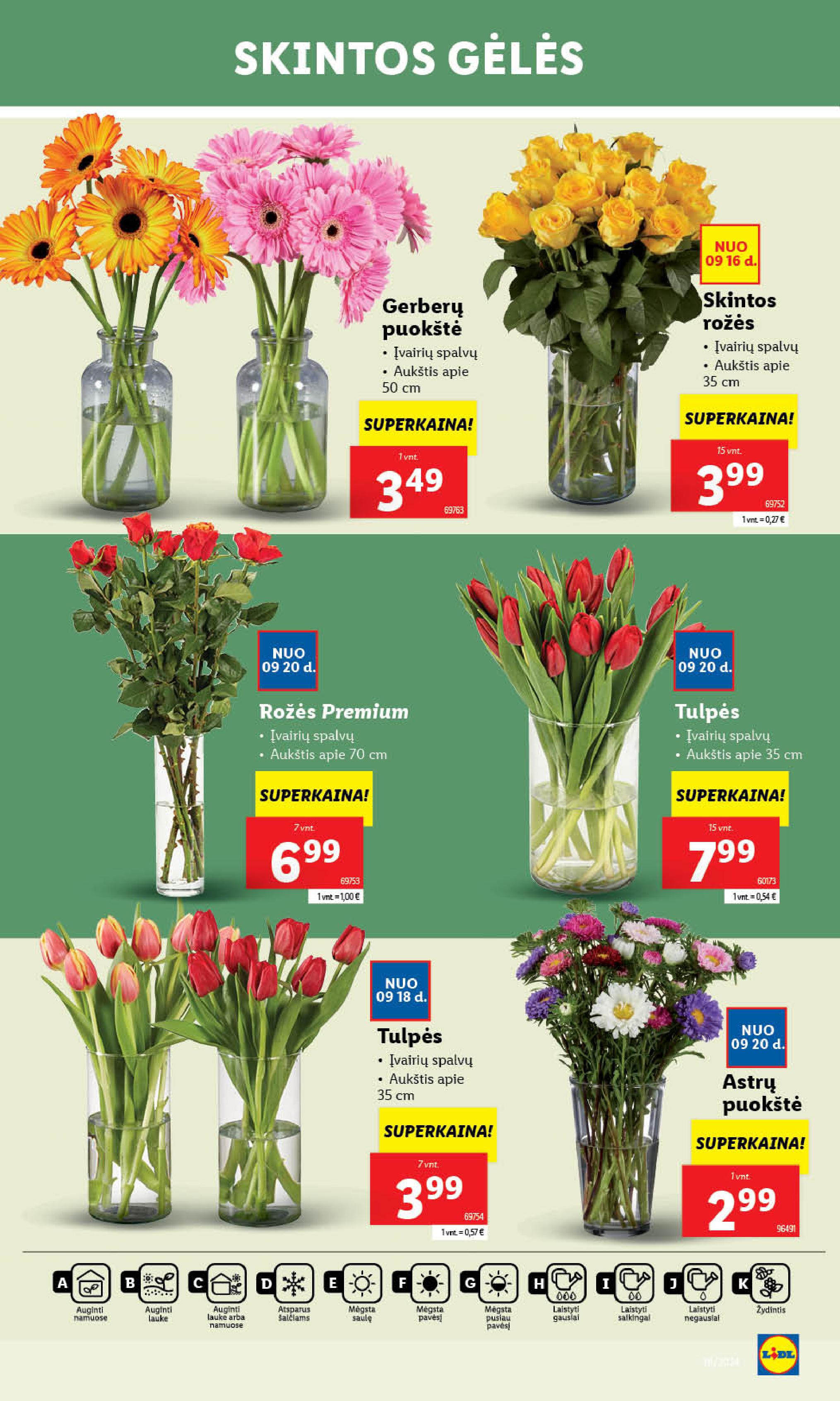 Naujausias LIDL kaininis katalogas 2024.09.16 - 2024.09.22