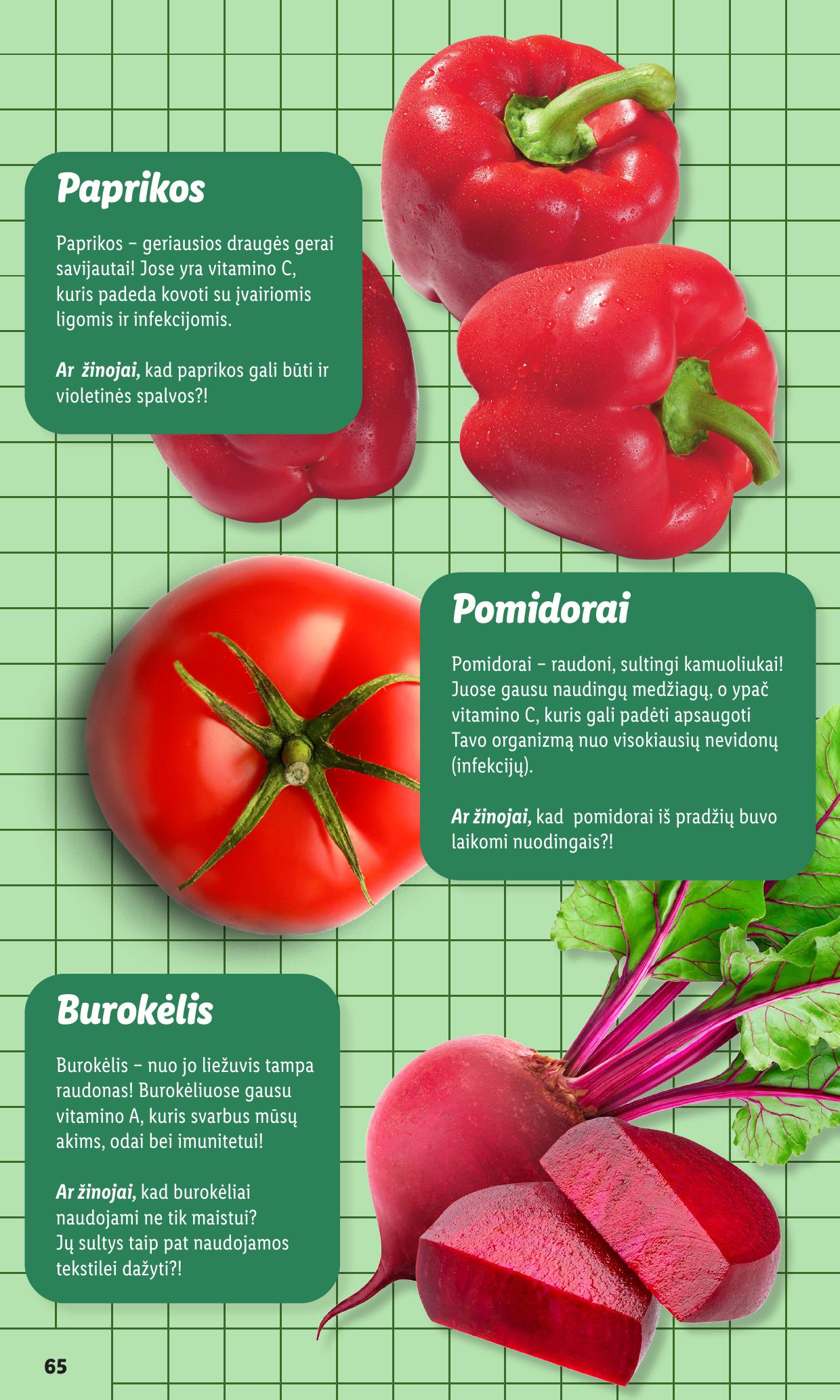 LIDL mokyklinių prekių katalogas "Žygiuojam į mokyklą"